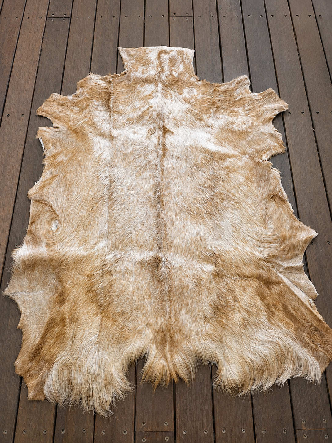 Genuine Natural Goat Hide - #21