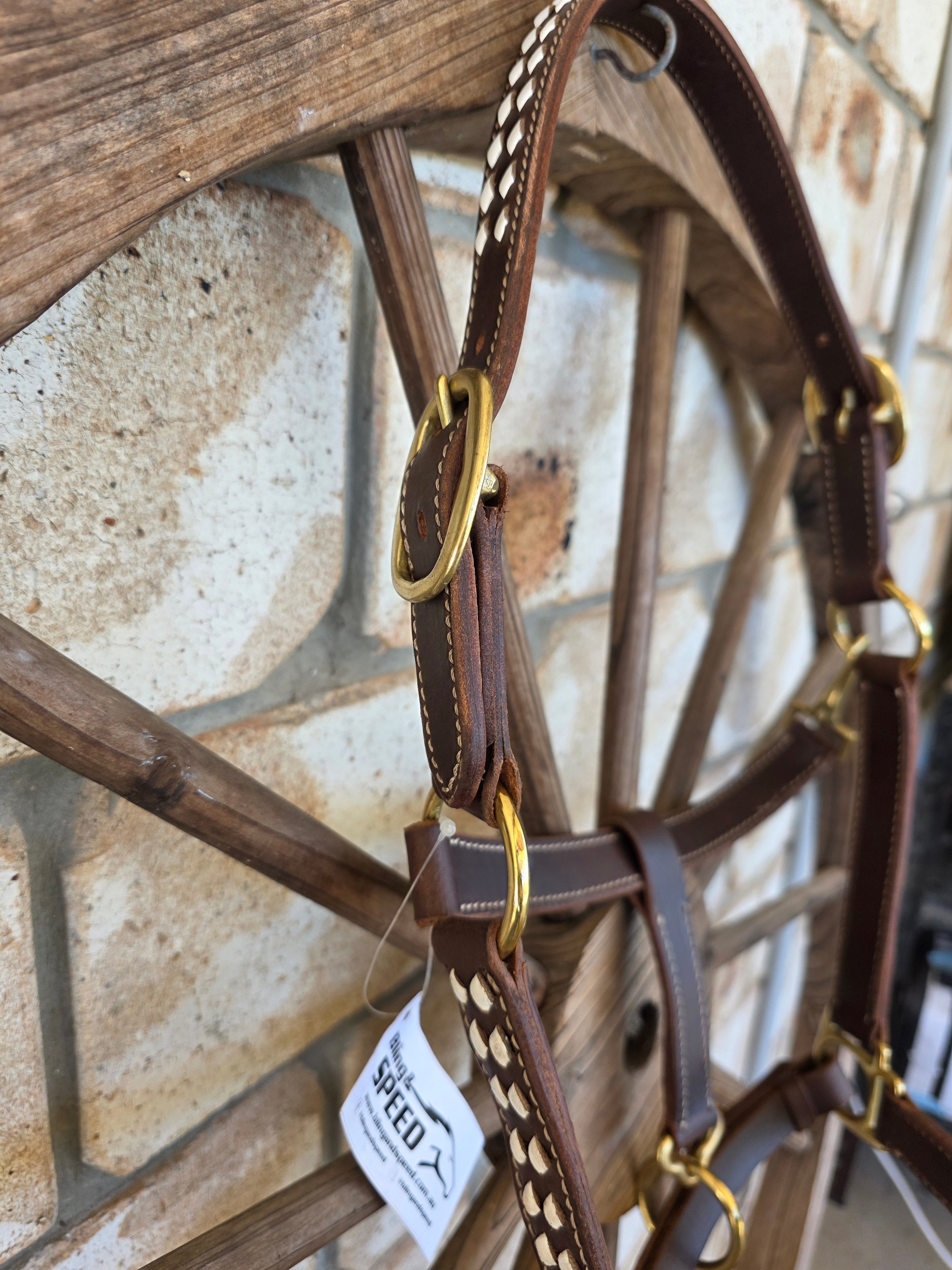 Buckstitch Leather Halter - Various Colours