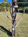 Load image into Gallery viewer, Trophy Tack Sets - Buckstitching