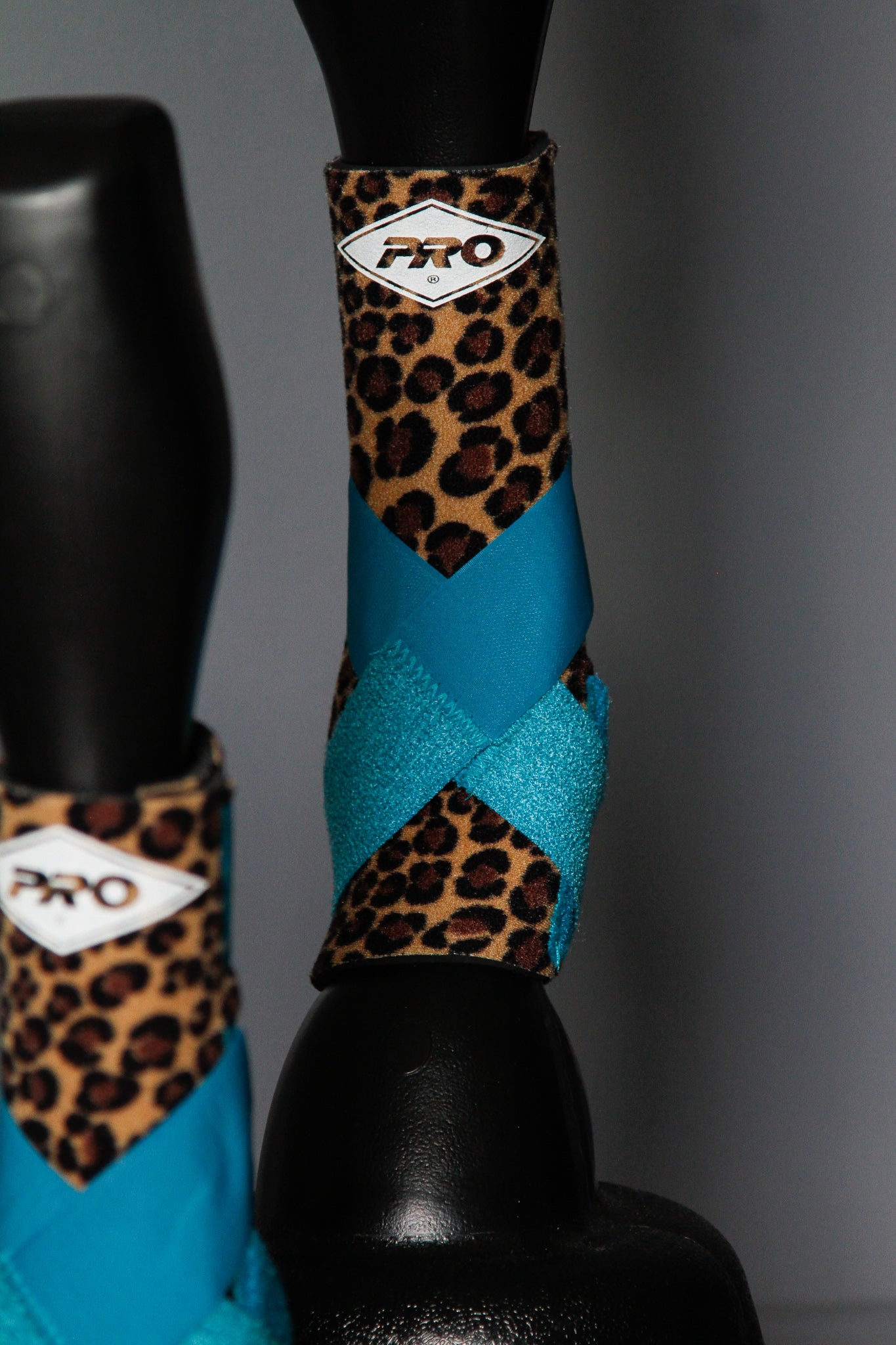 H20 Front & H20 Rear Cheetah Sports Support - Turquoise (7926450946286)