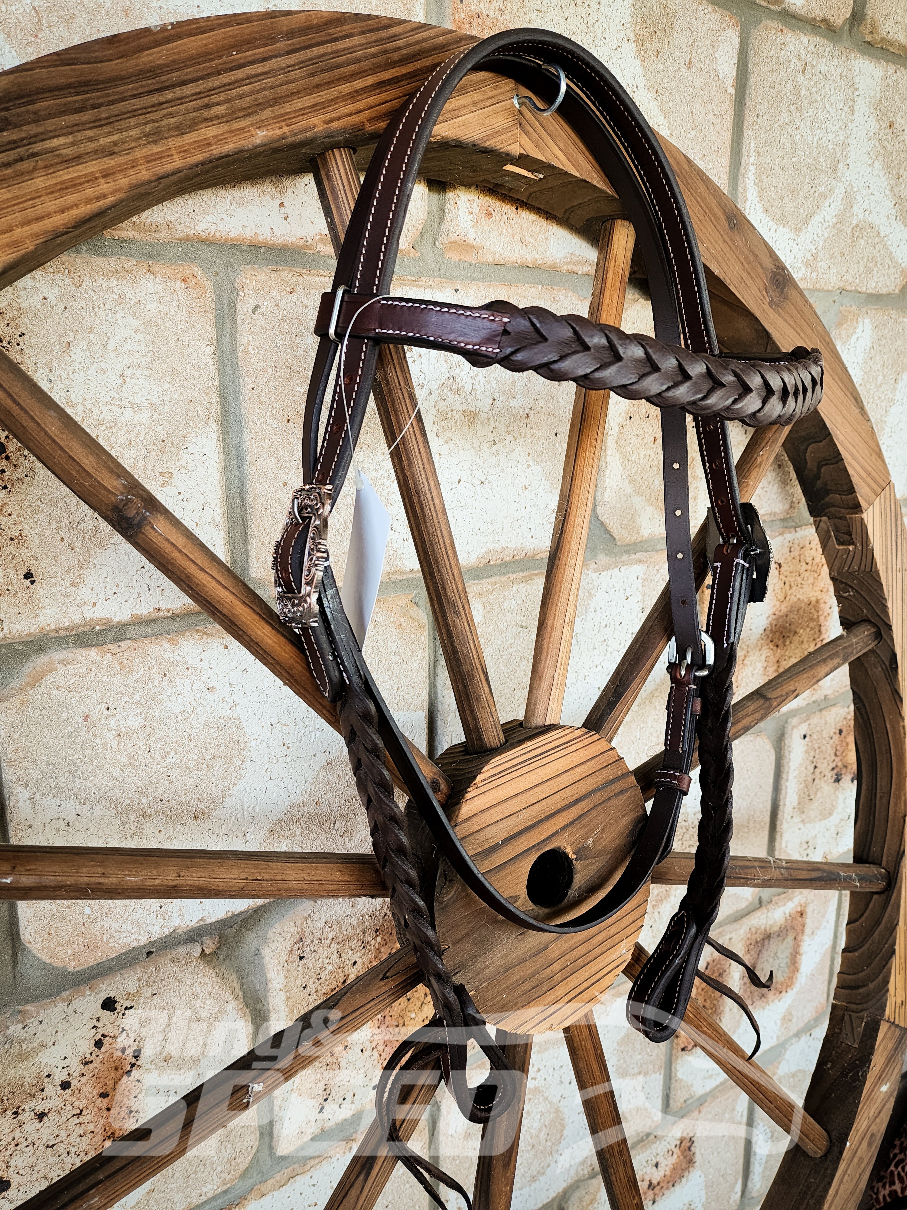 Bling & Speed Plait Bridle (7977769992430)