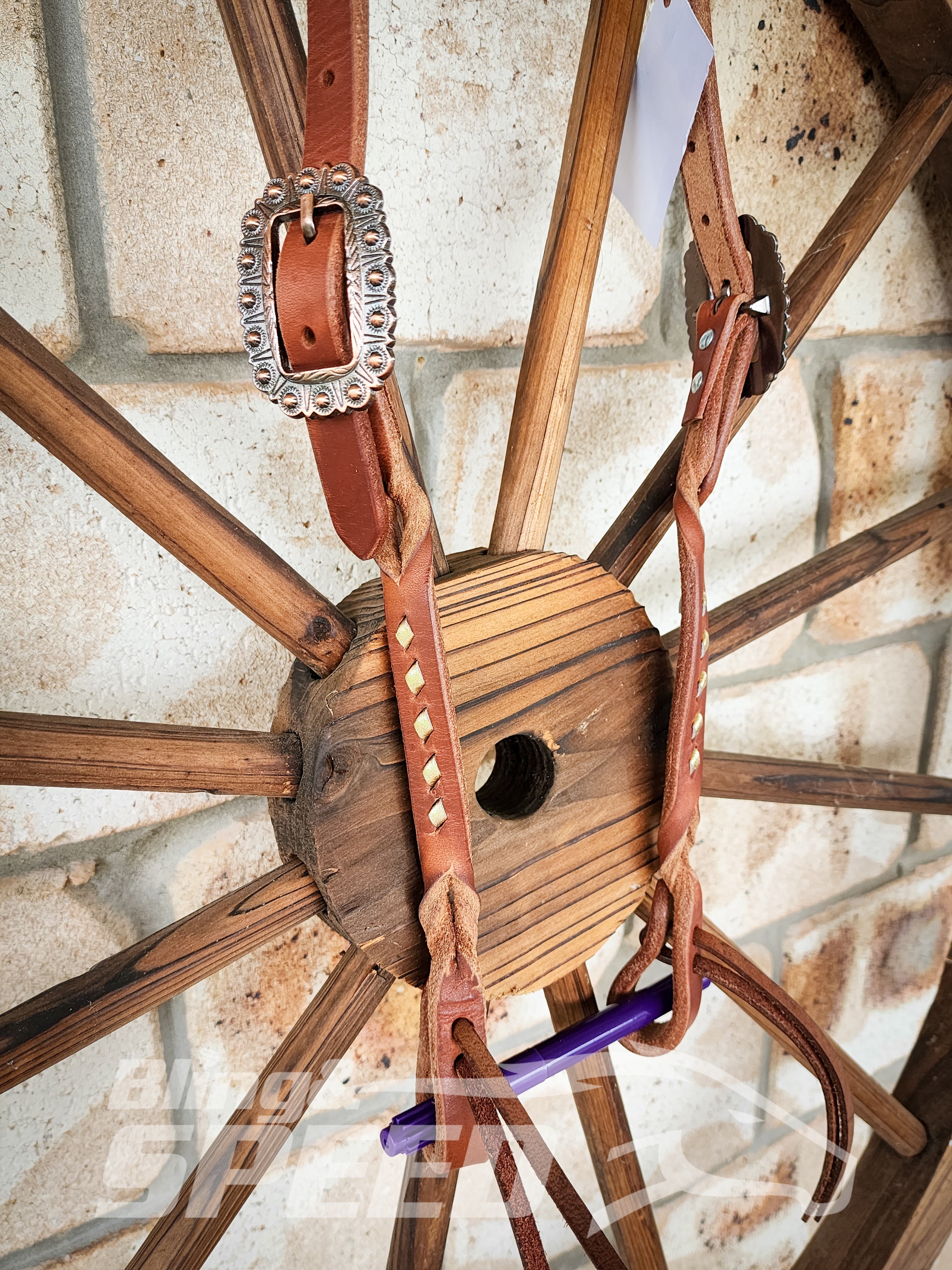Bling and Speed Gold Buckstitched with Twisted Bloodknot Bridle (7981440532718)