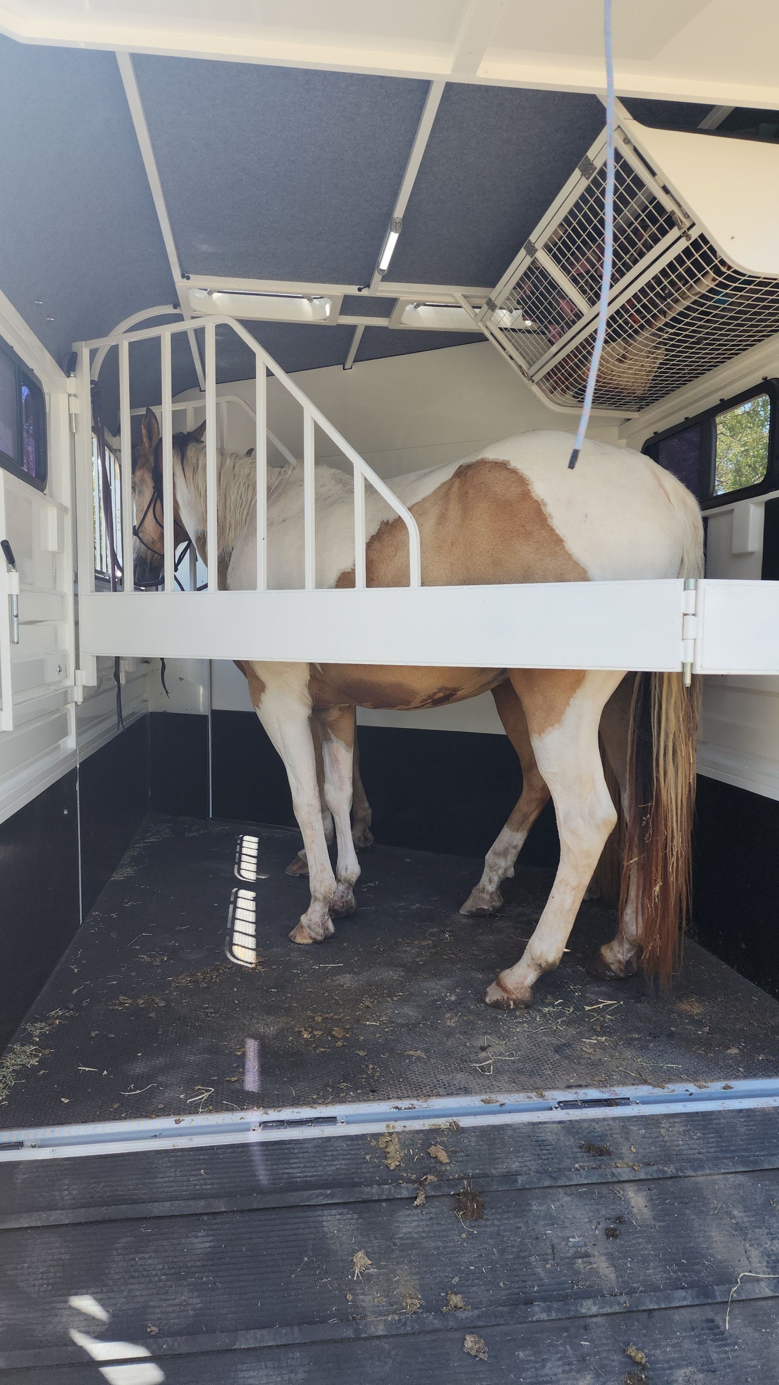 Unloading Your Horses During Long Distance Road Trips: Why it's Important.