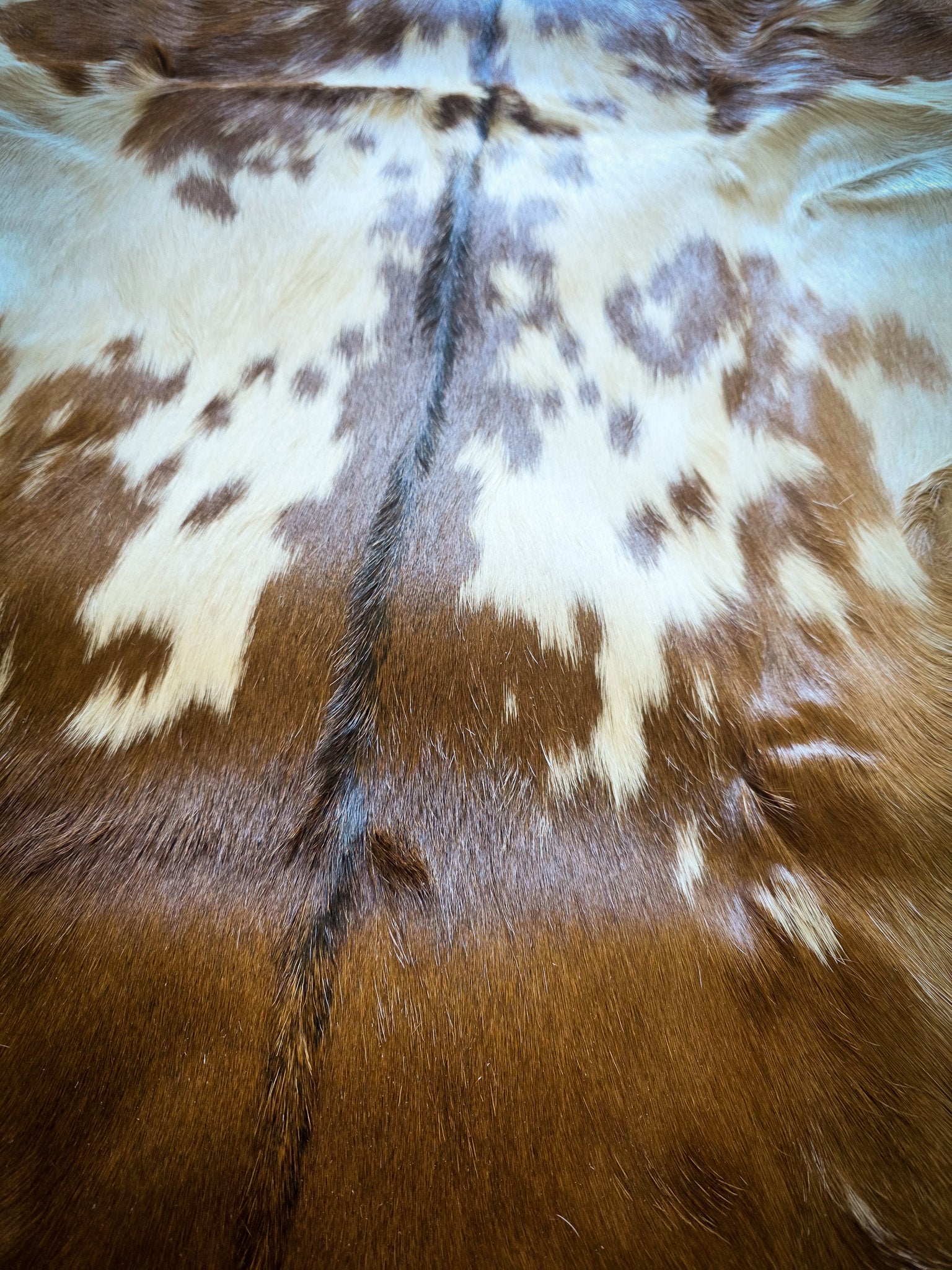 Genuine Natural Goat Hide - #3