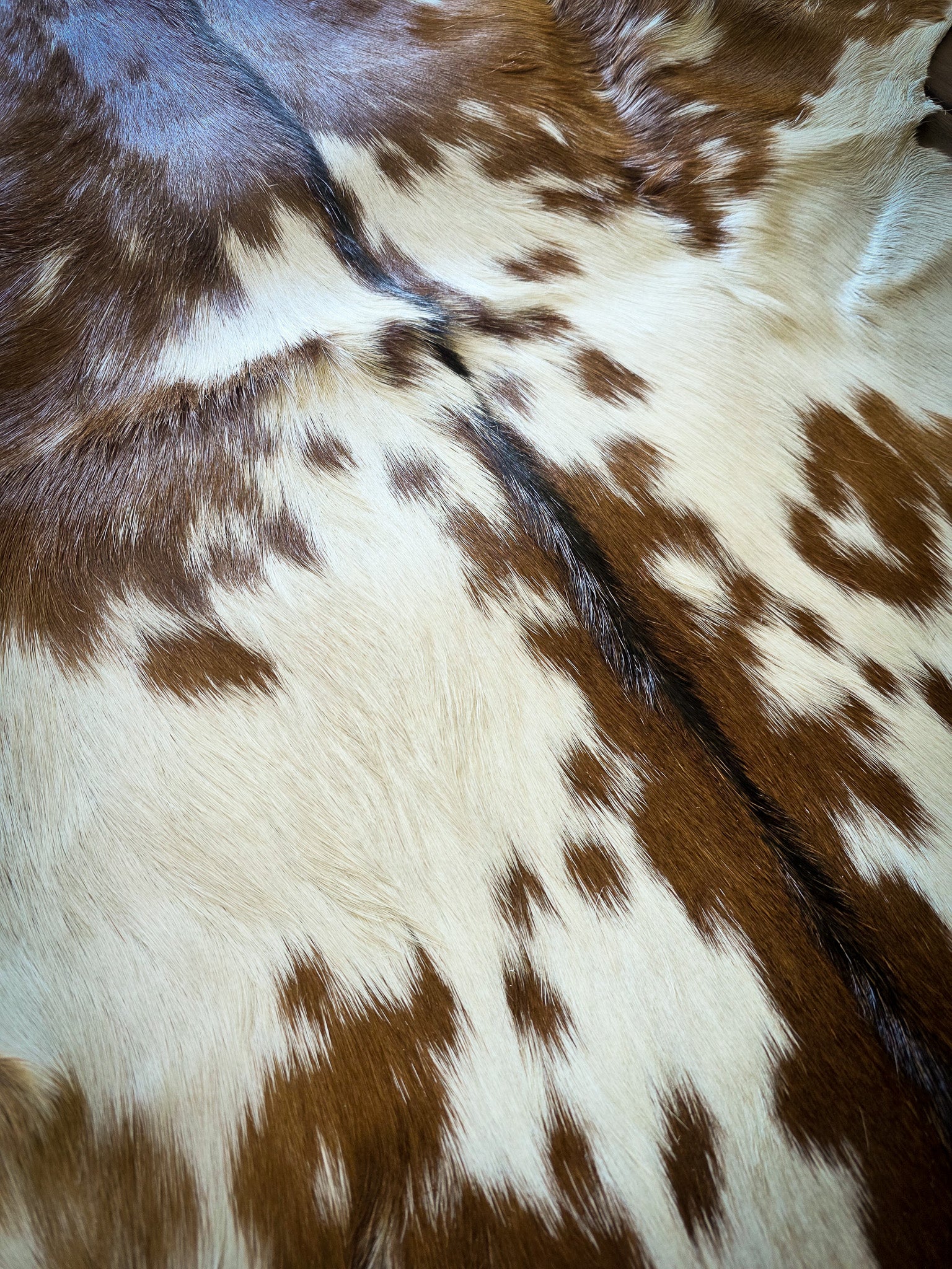 Genuine Natural Goat Hide - #3