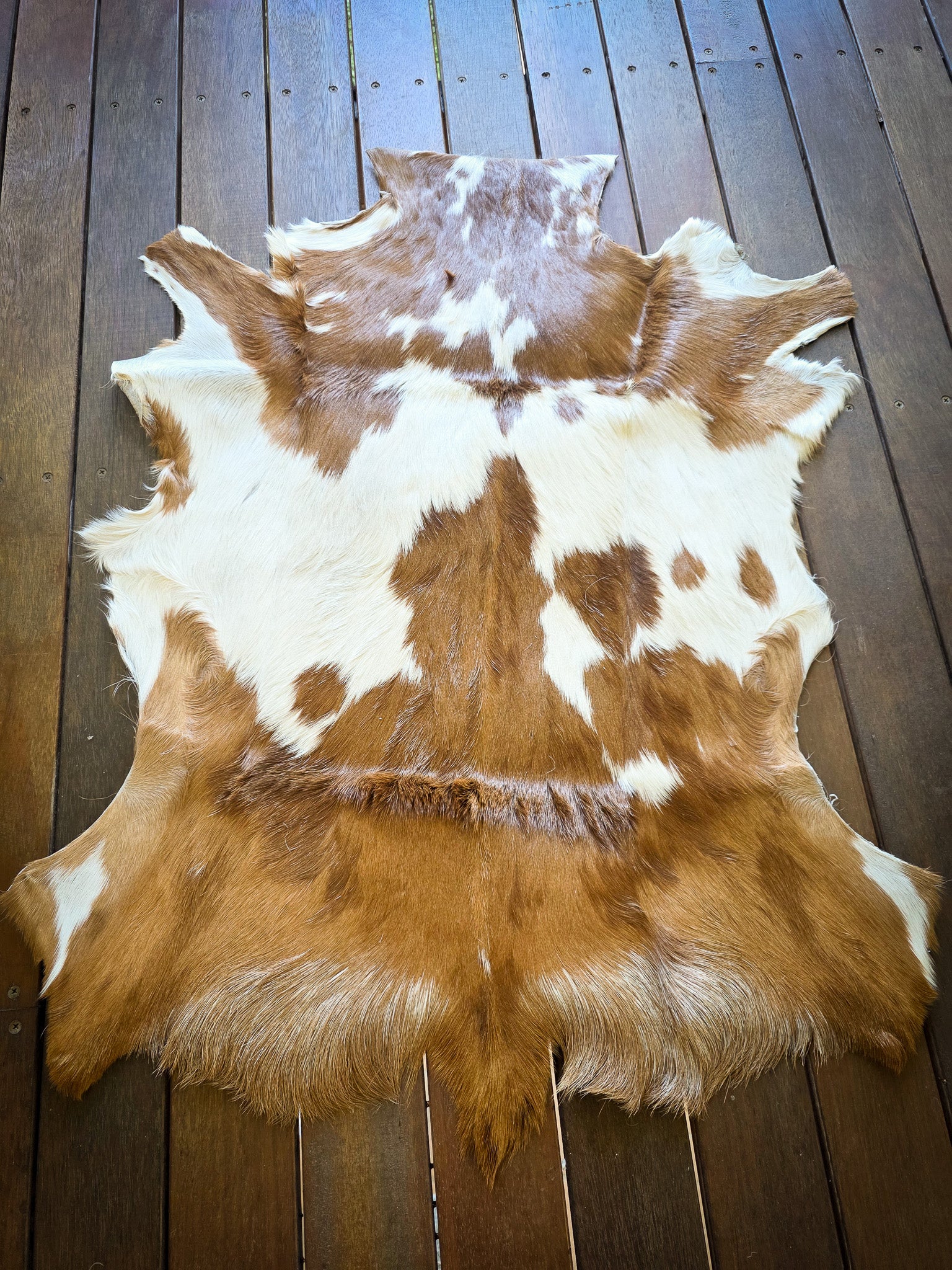 Genuine Natural Goat Hide - #5