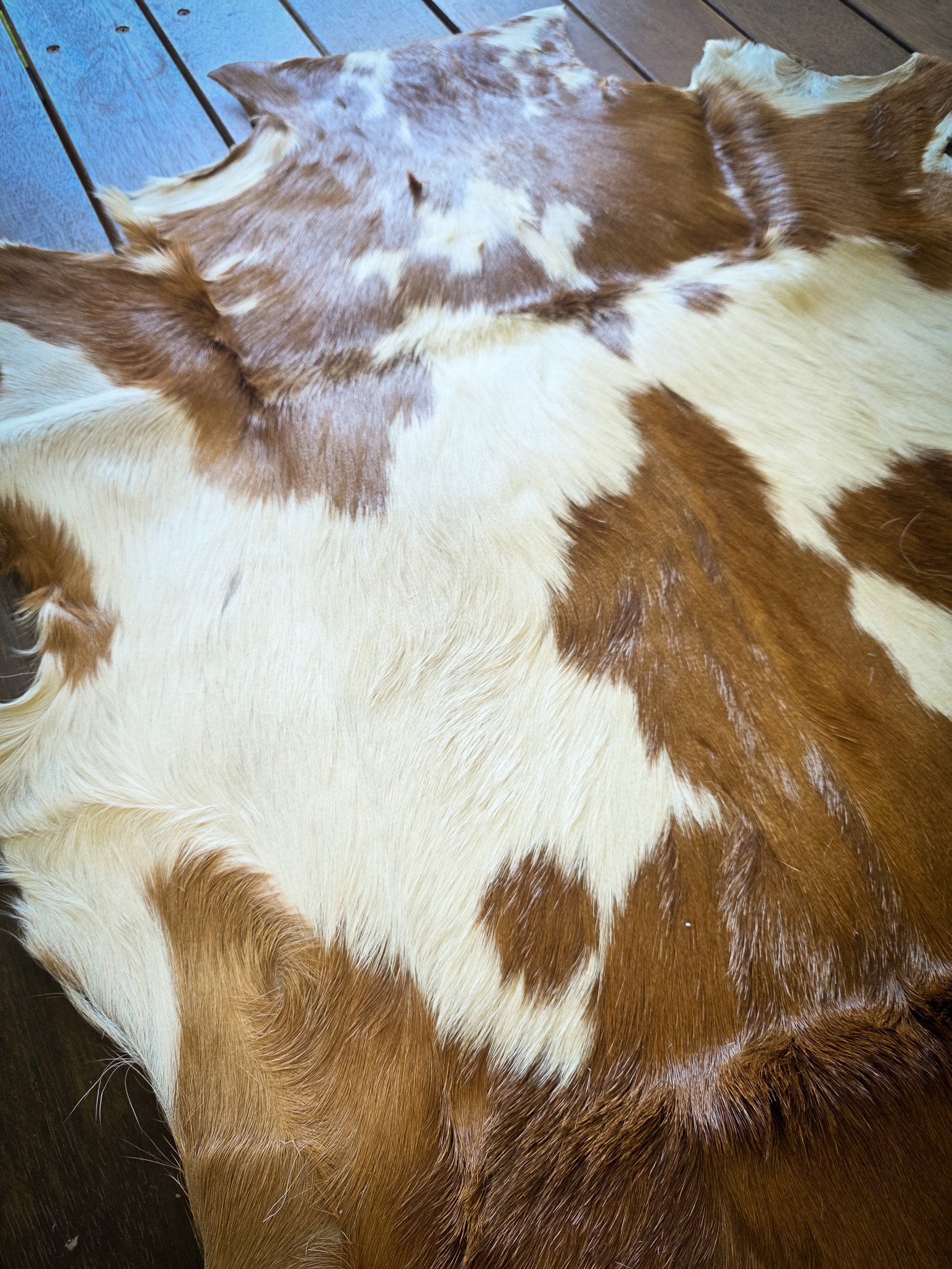 Genuine Natural Goat Hide - #5