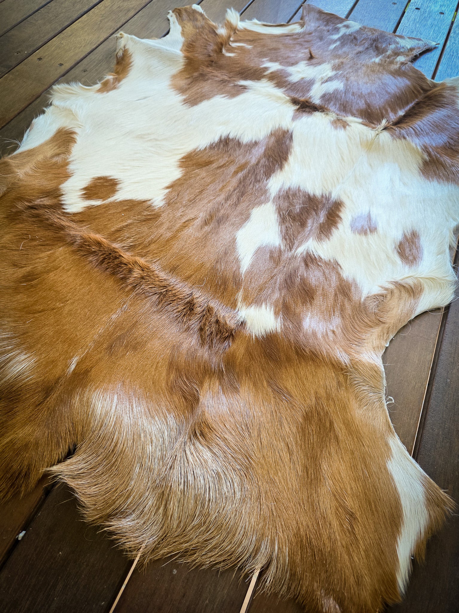 Genuine Natural Goat Hide - #5