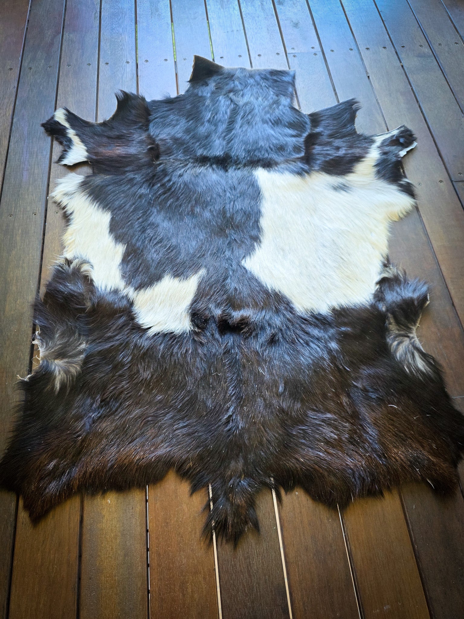 Genuine Natural Goat Hide - #6