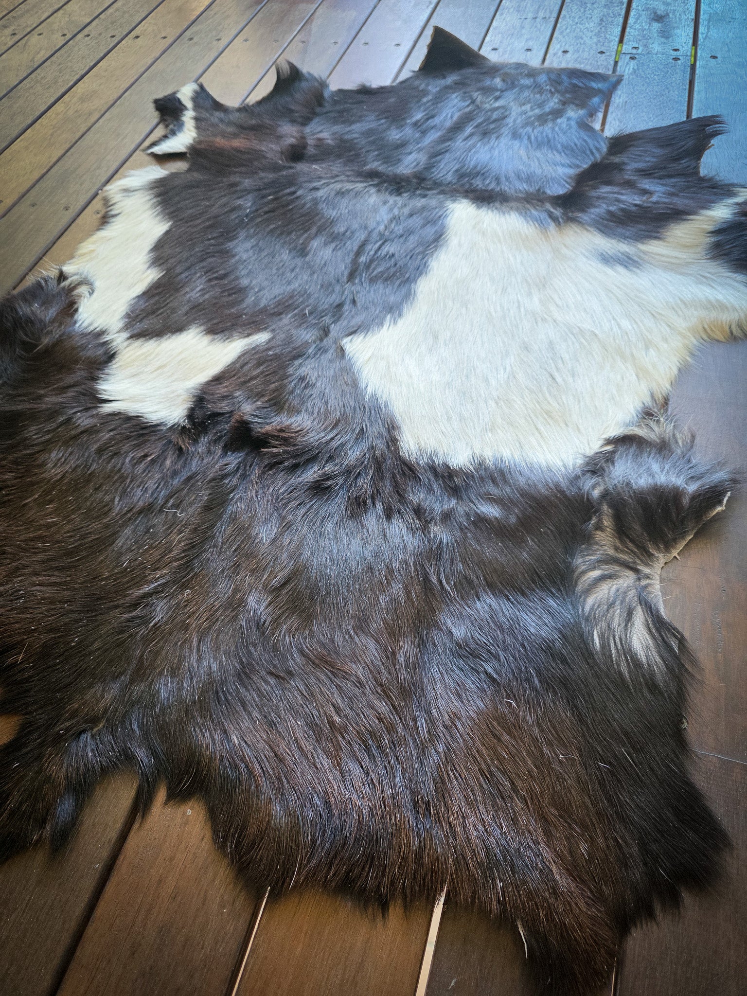 Genuine Natural Goat Hide - #6