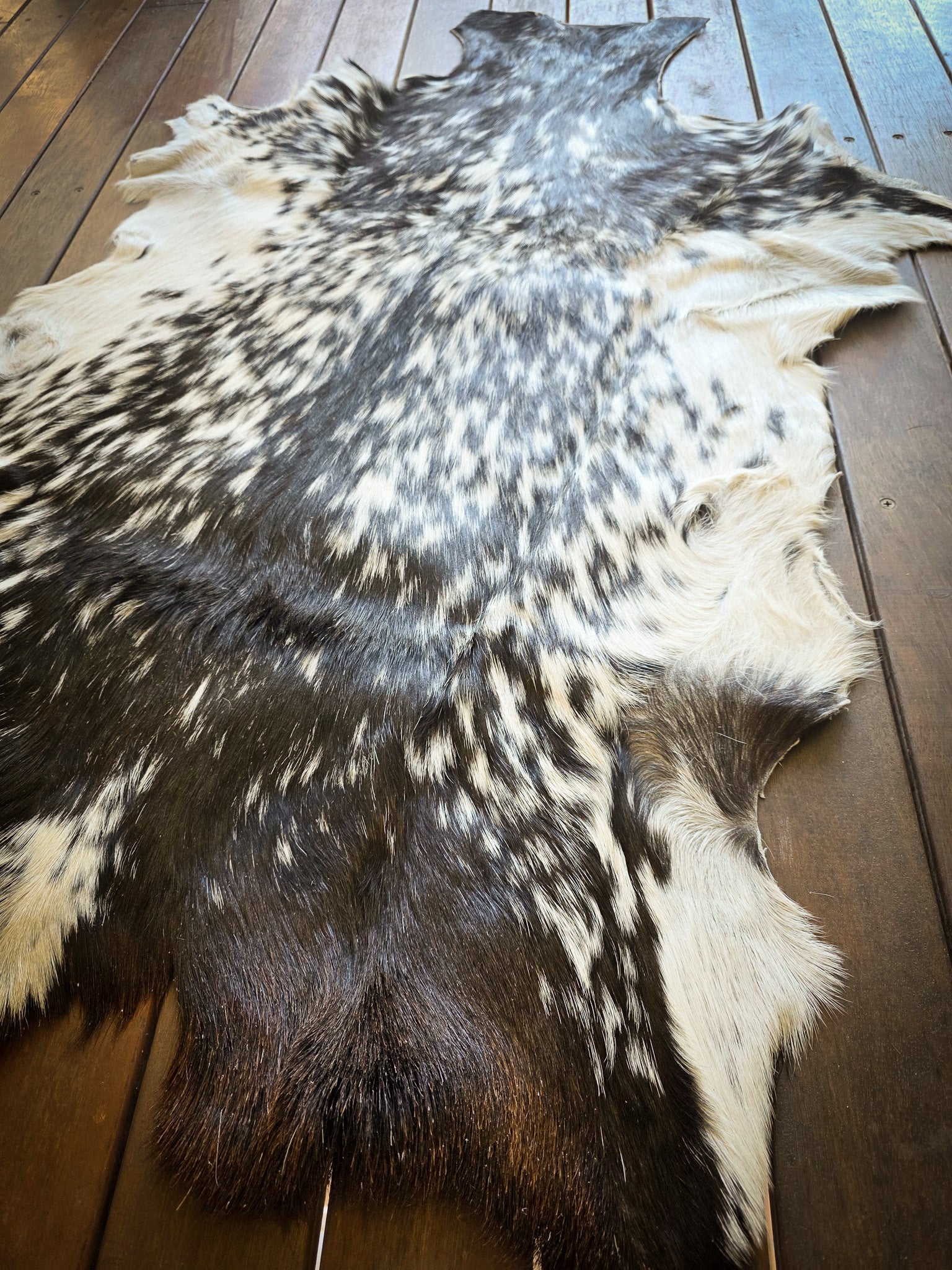 Genuine Natural Goat Hide - #7