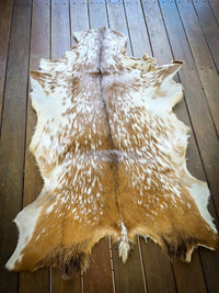 Genuine Natural Goat Hide - #8