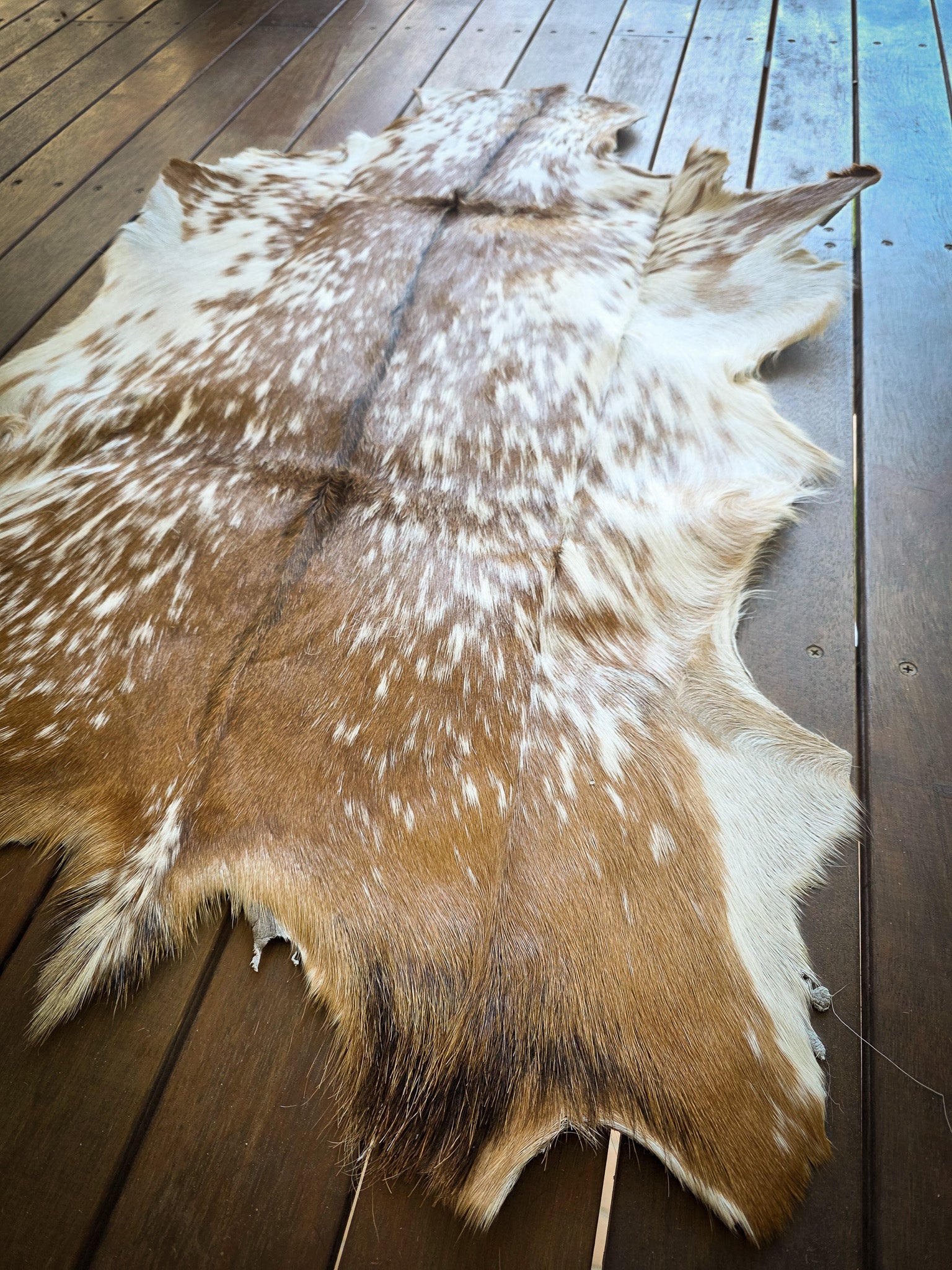 Genuine Natural Goat Hide - #8