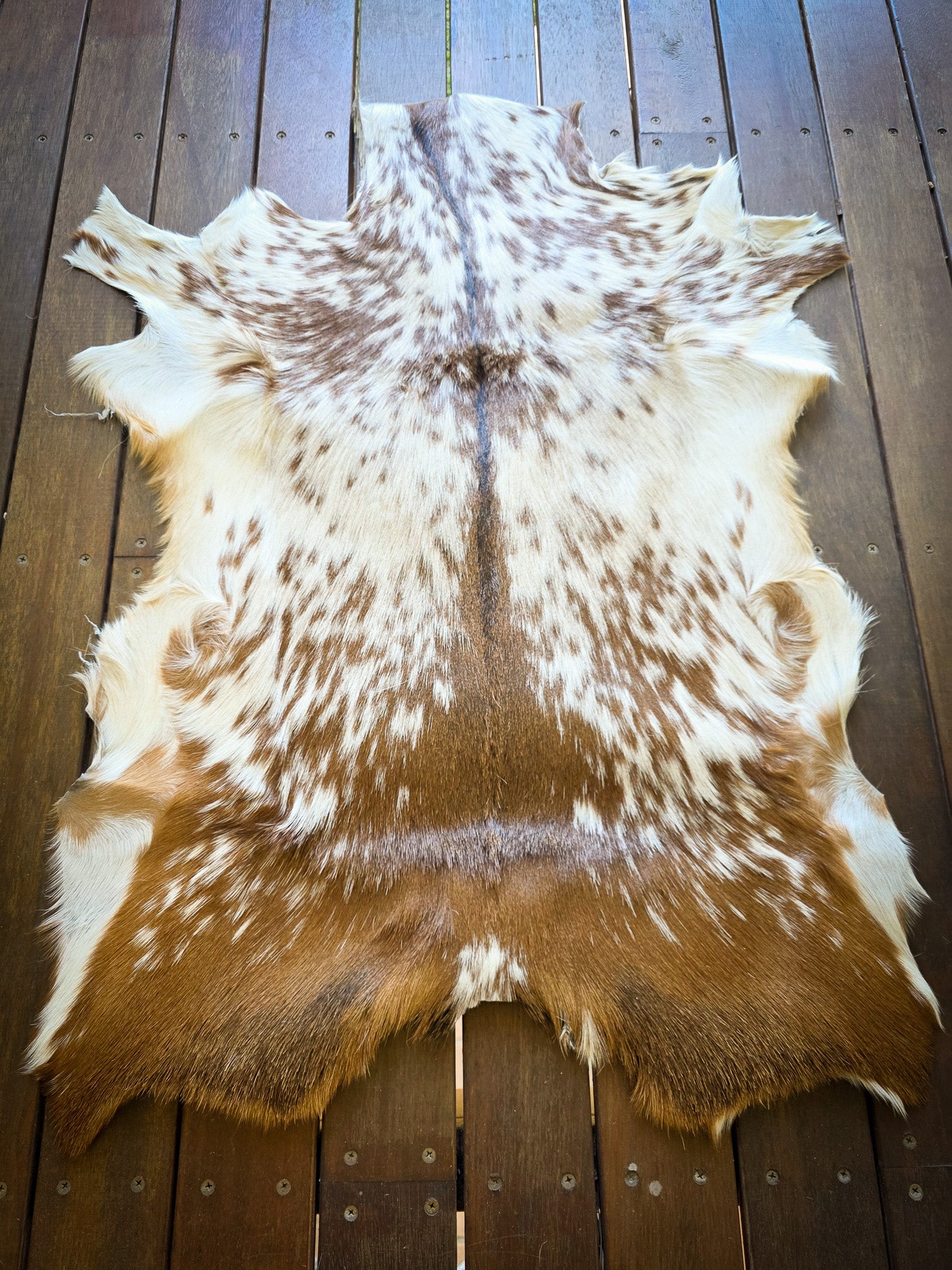 Genuine Natural Goat Hide - #10