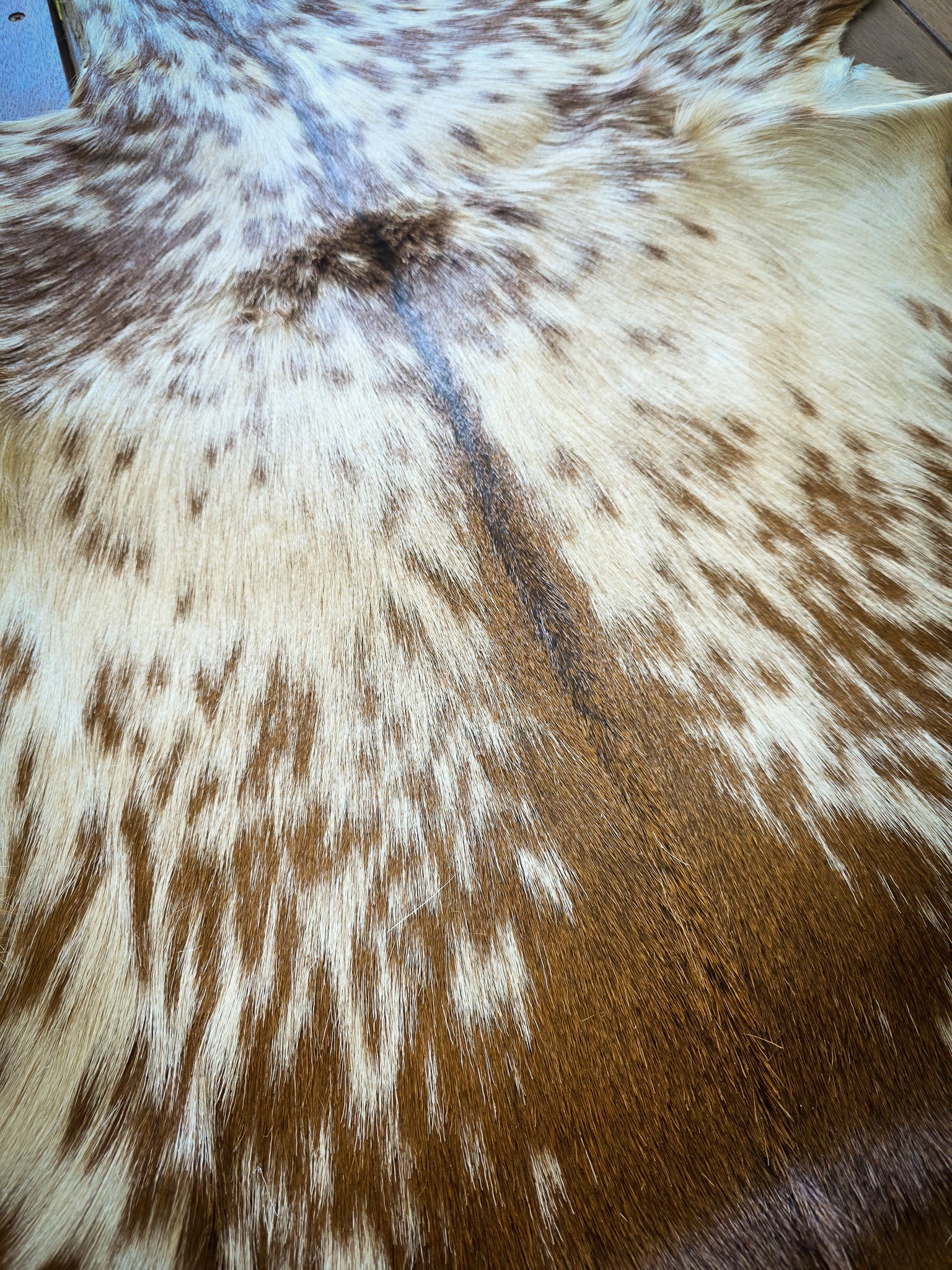 Genuine Natural Goat Hide - #10