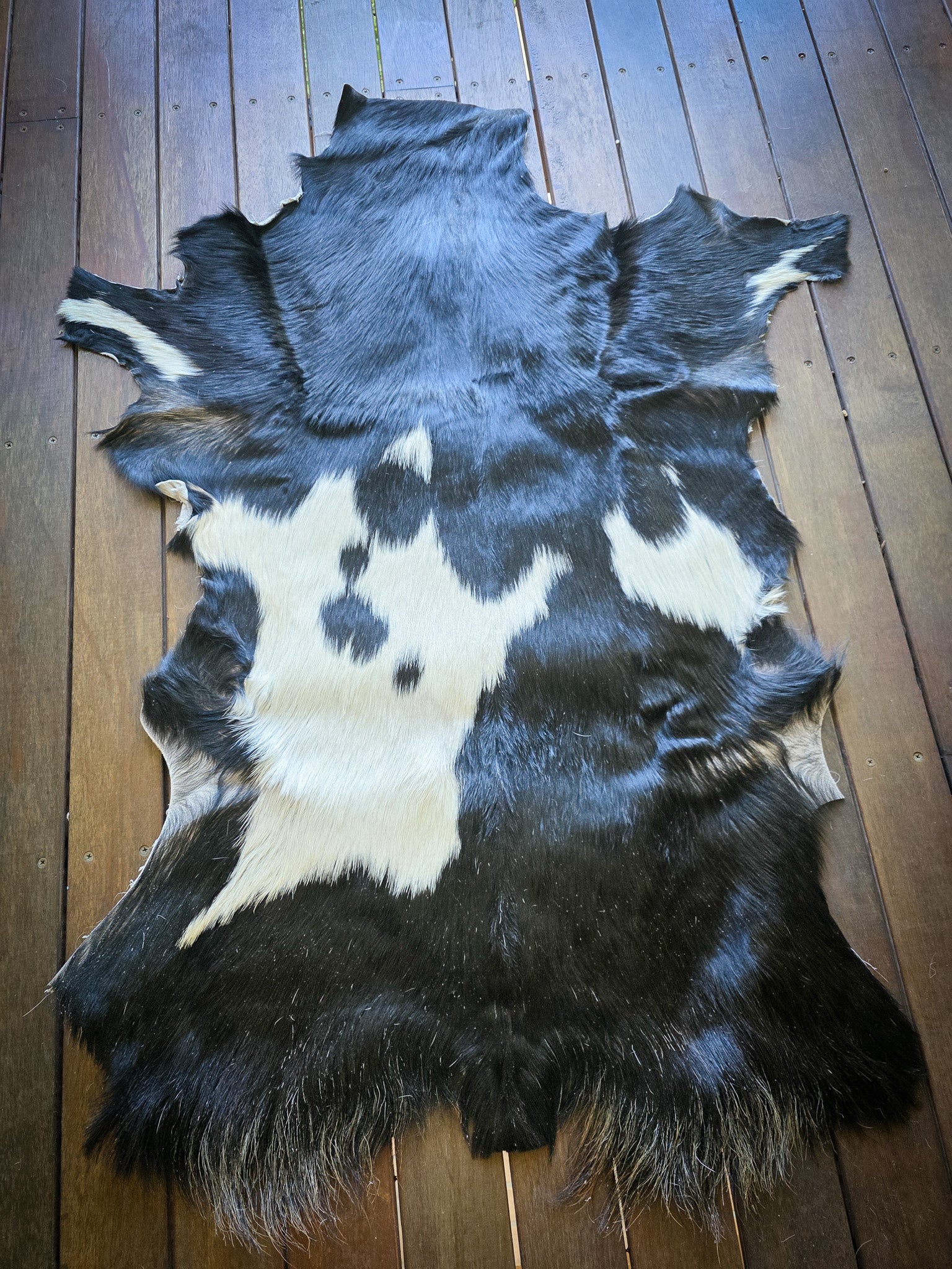 Genuine Natural Goat Hide - #11