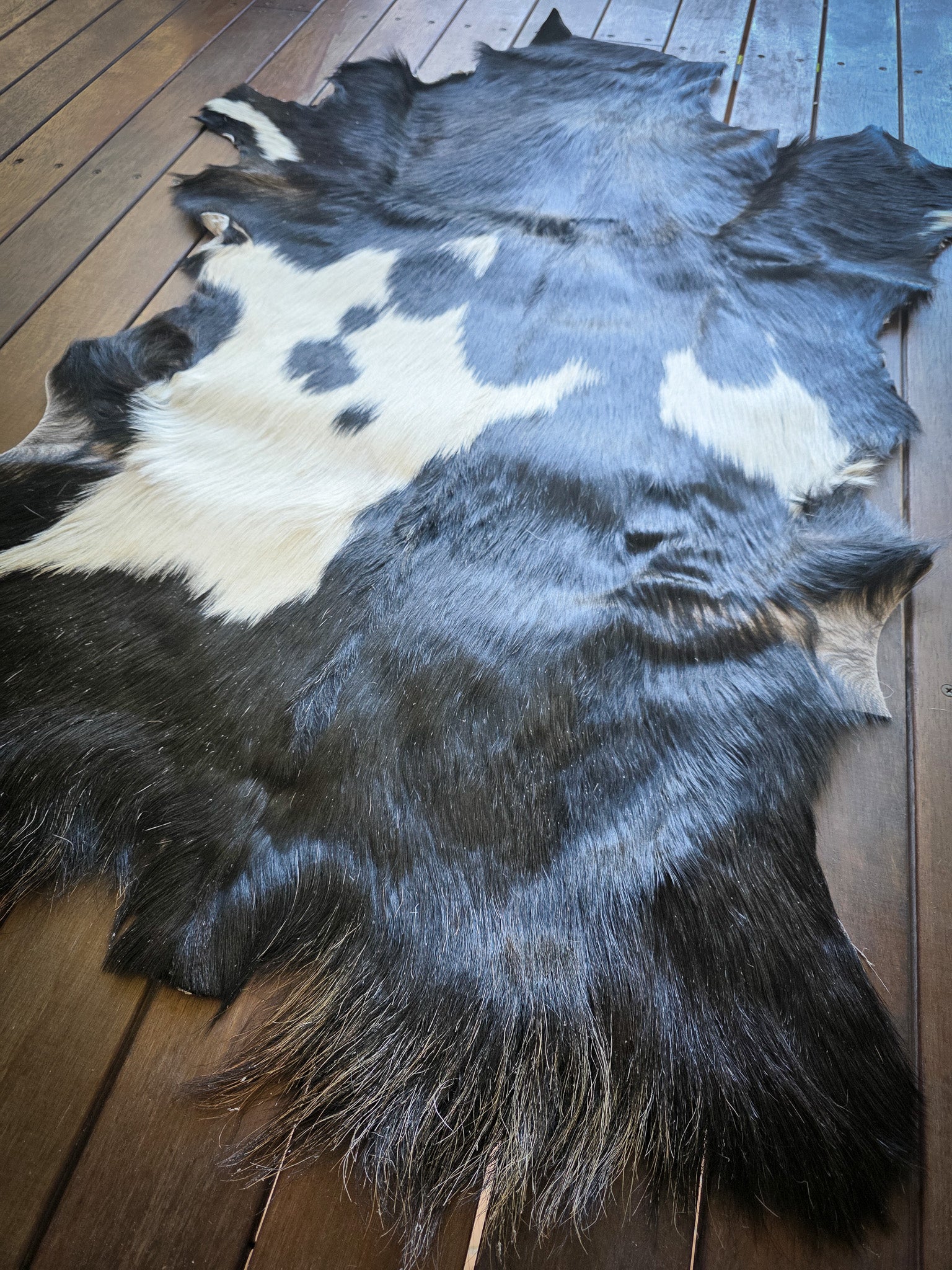 Genuine Natural Goat Hide - #11
