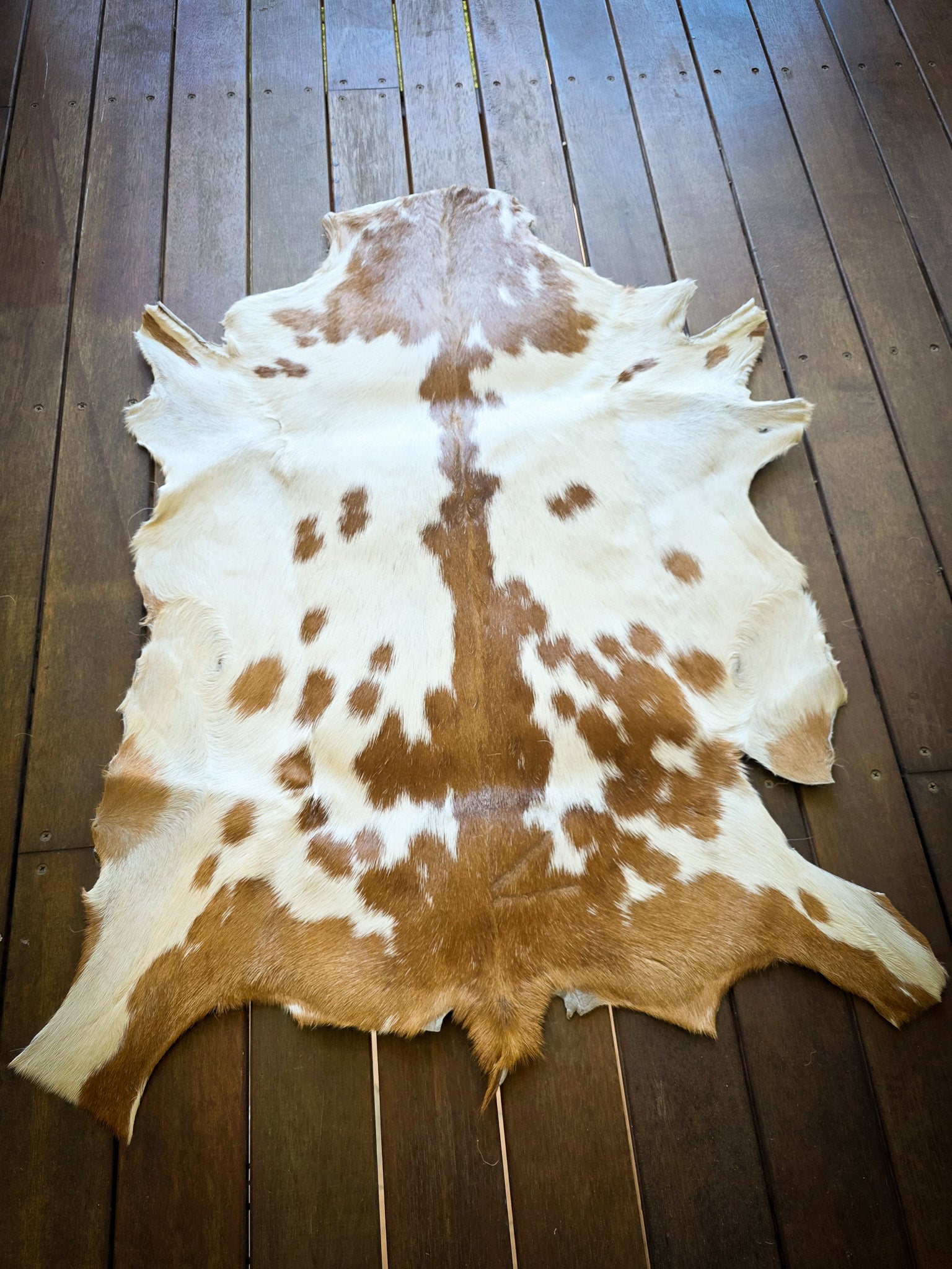 Genuine Natural Goat Hide - #12