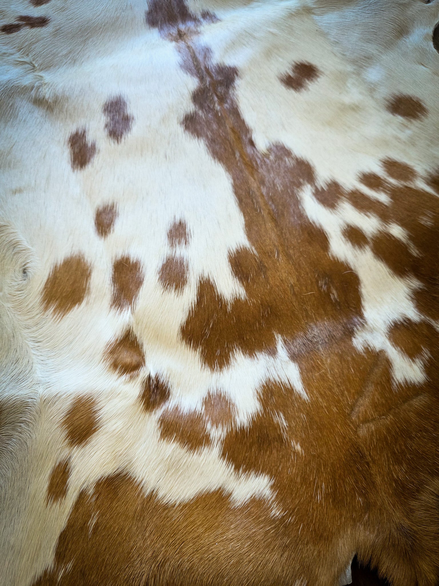 Genuine Natural Goat Hide - #12