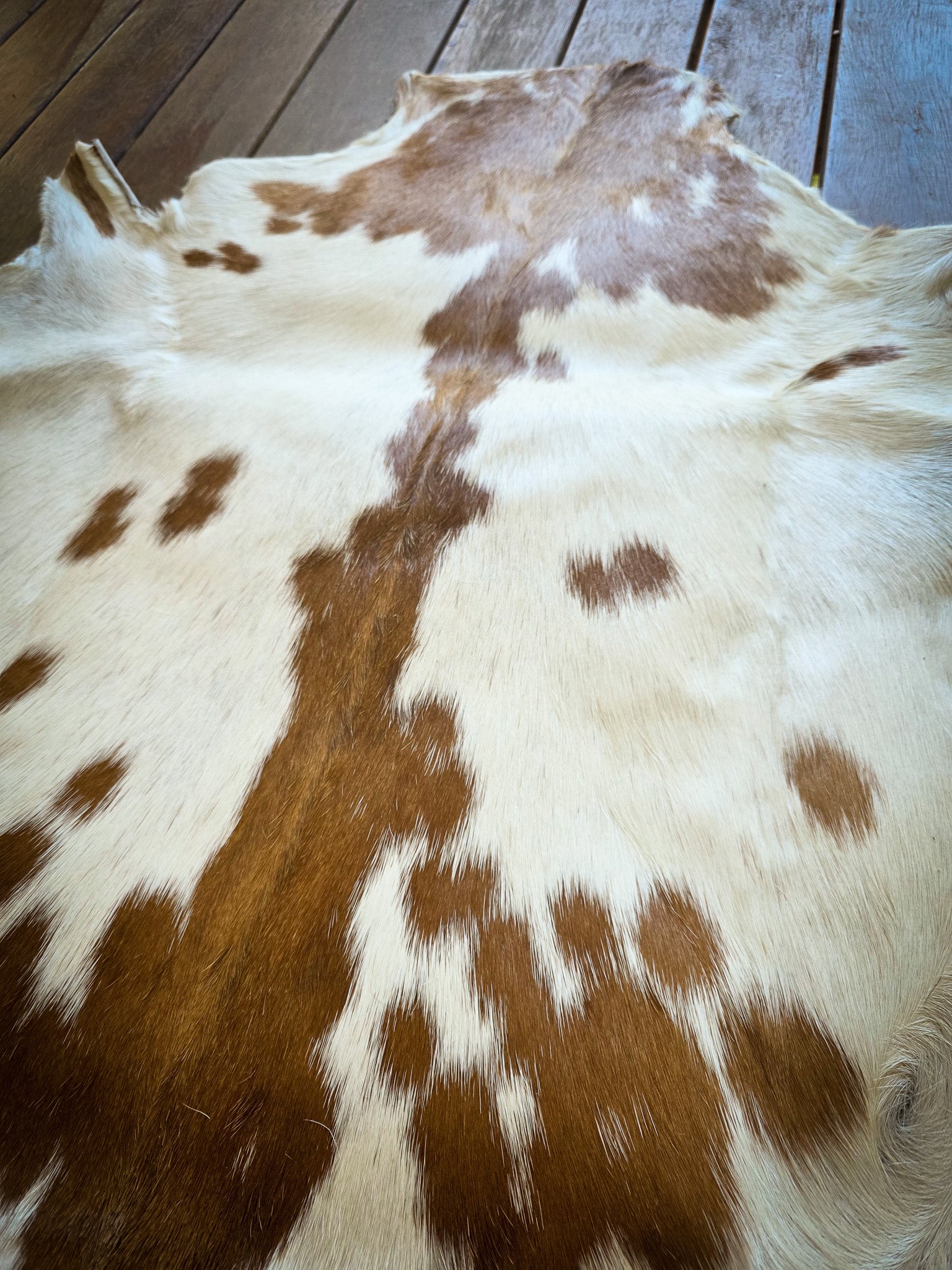 Genuine Natural Goat Hide - #12
