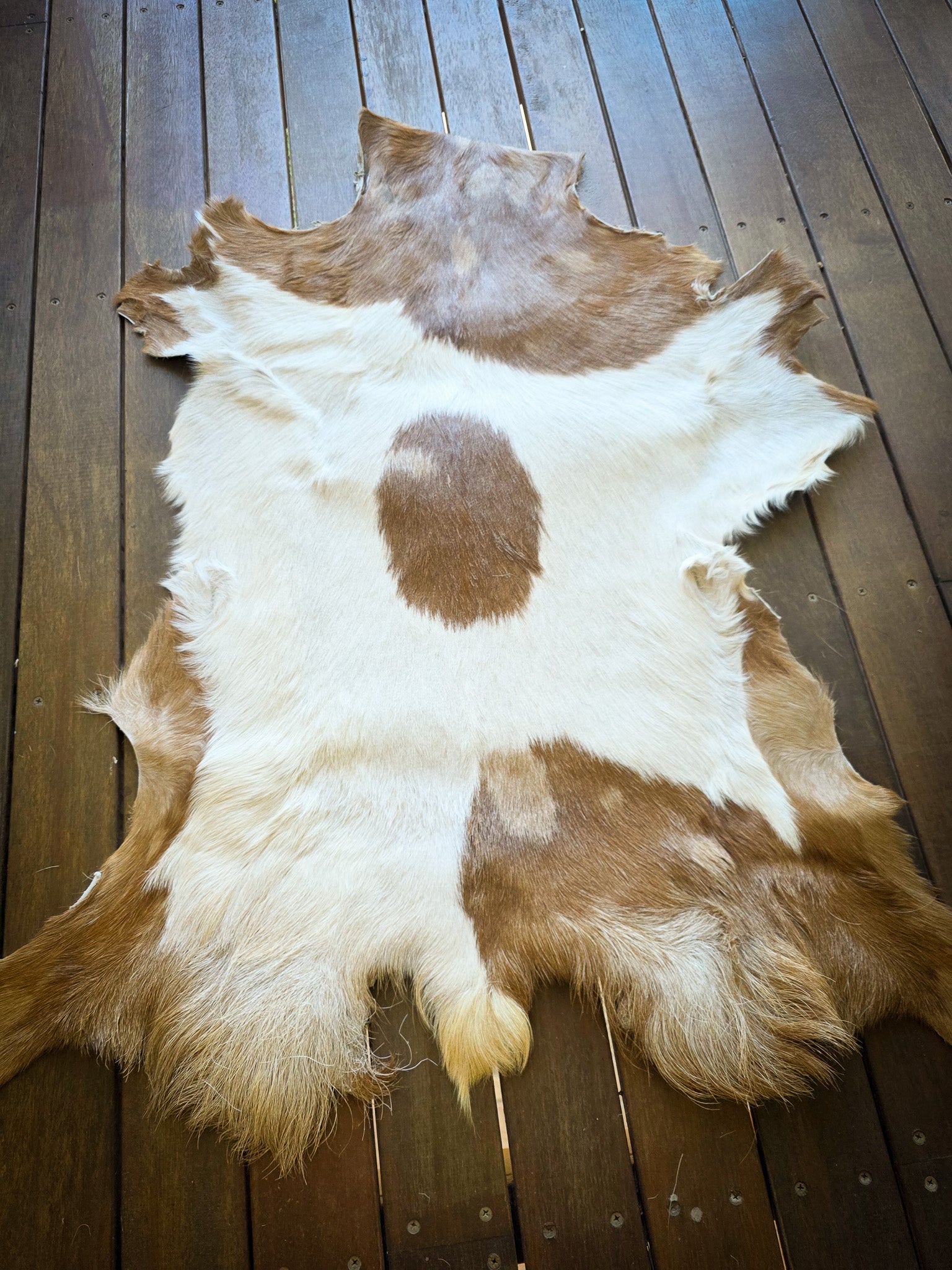 Genuine Natural Goat Hide - #13