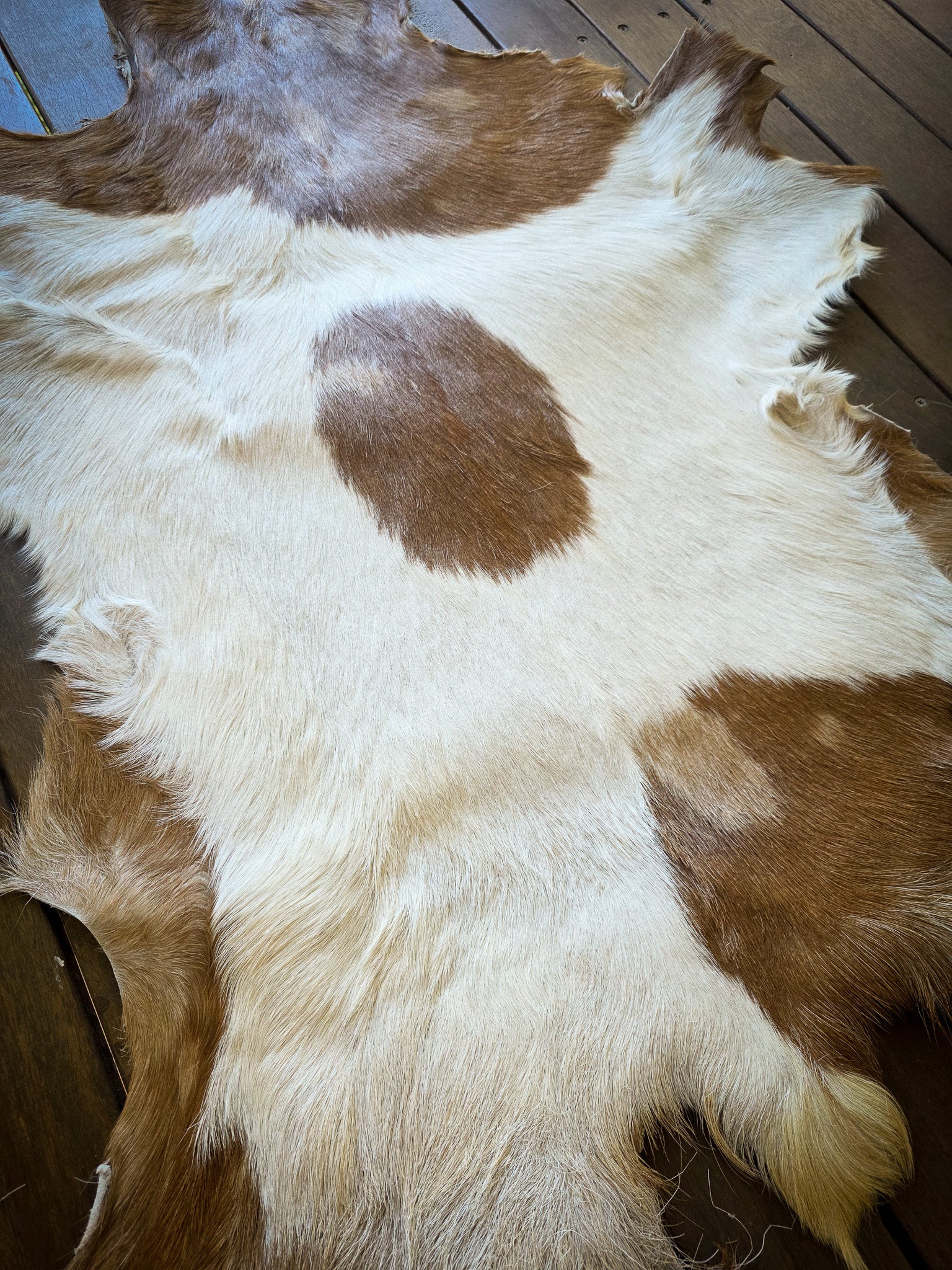 Genuine Natural Goat Hide - #13