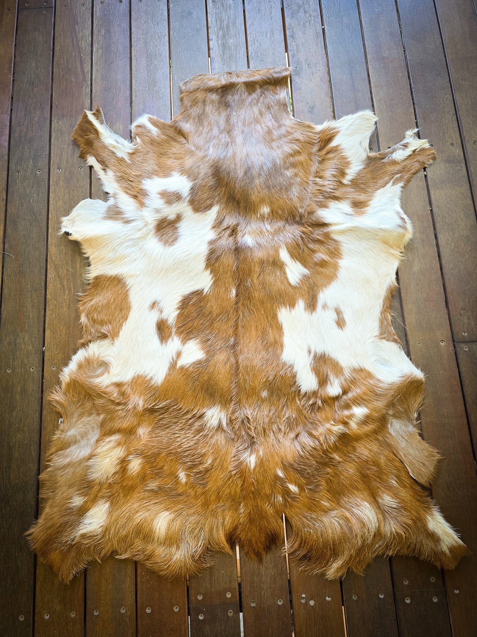 Genuine Natural Goat Hide - #14
