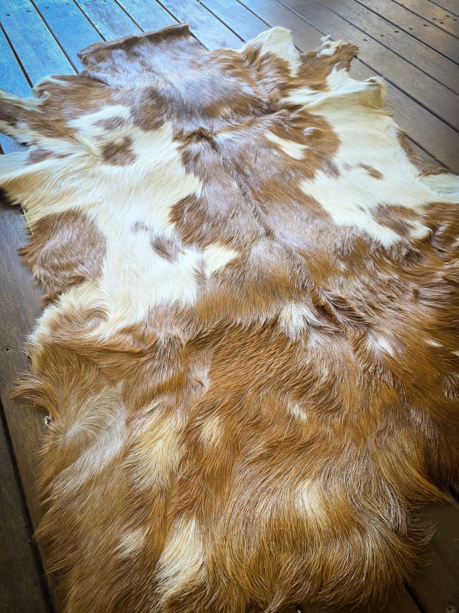 Genuine Natural Goat Hide - #14