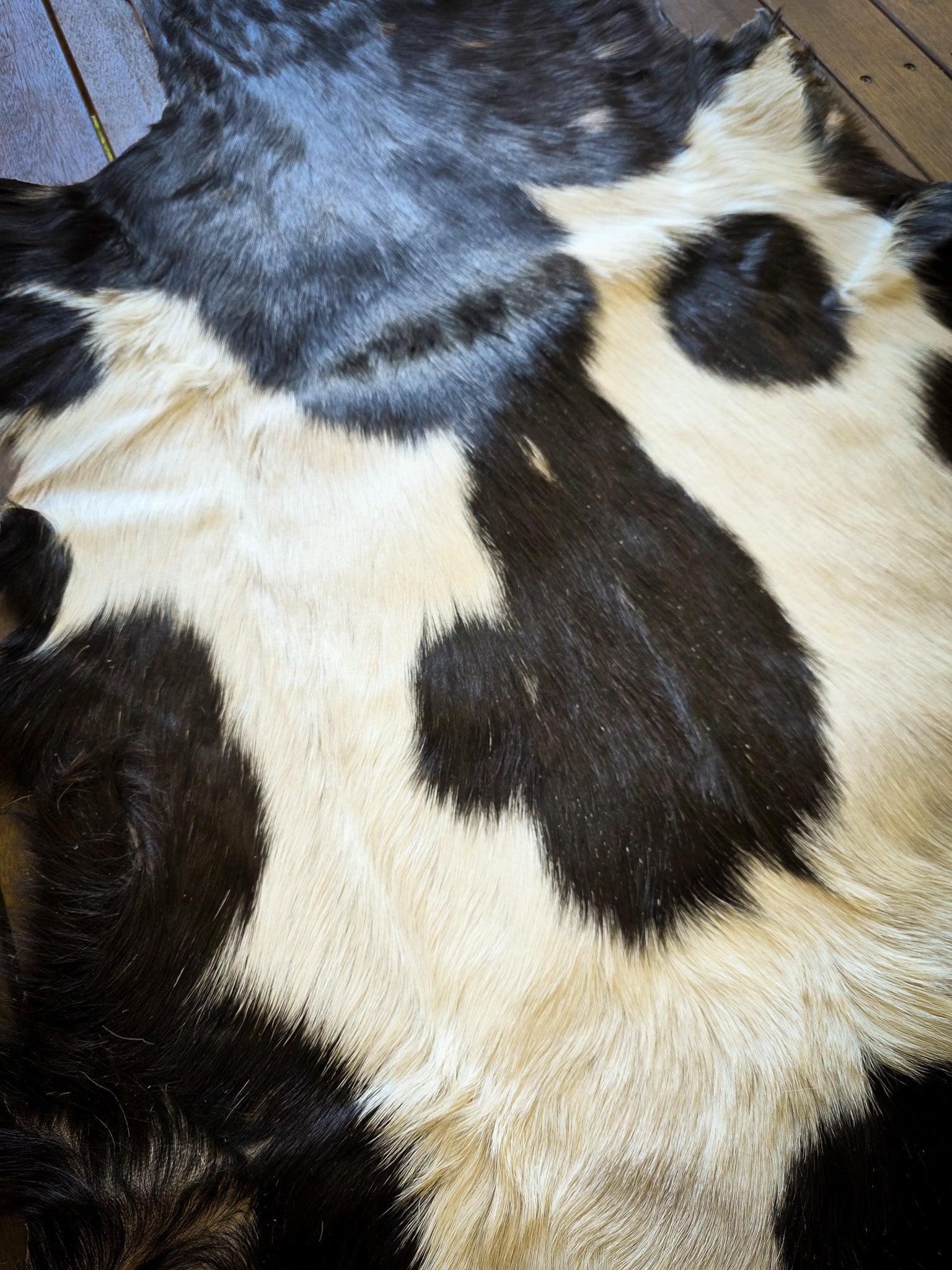 Genuine Natural Goat Hide - #15