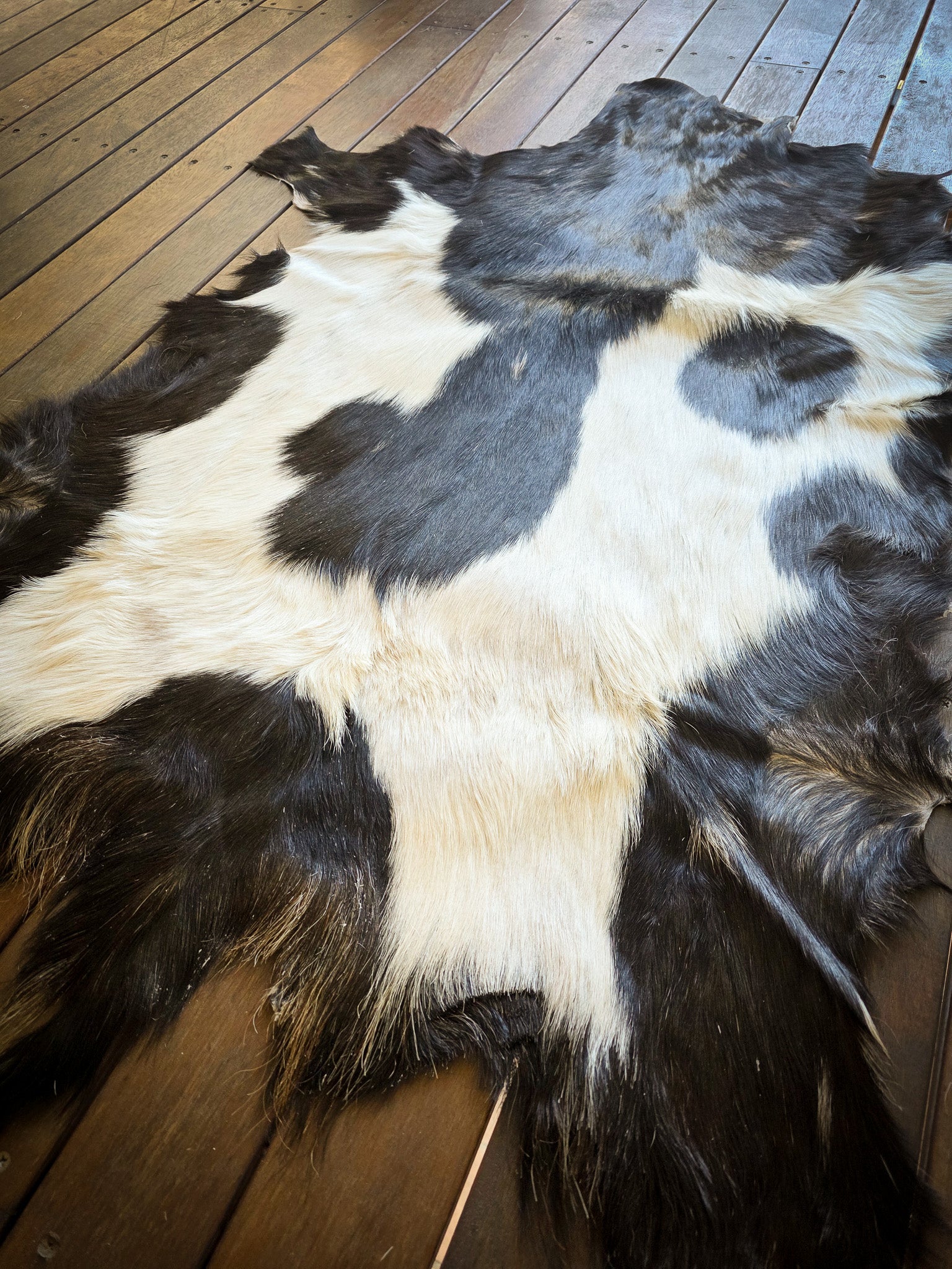 Genuine Natural Goat Hide - #15