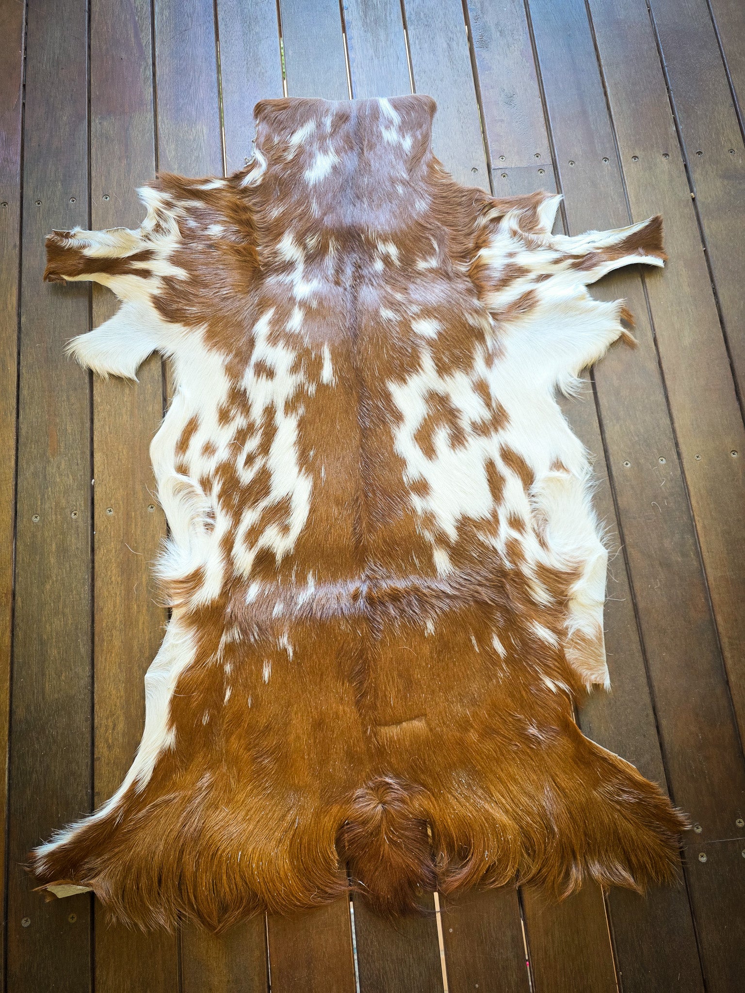 Genuine Natural Goat Hide - #16