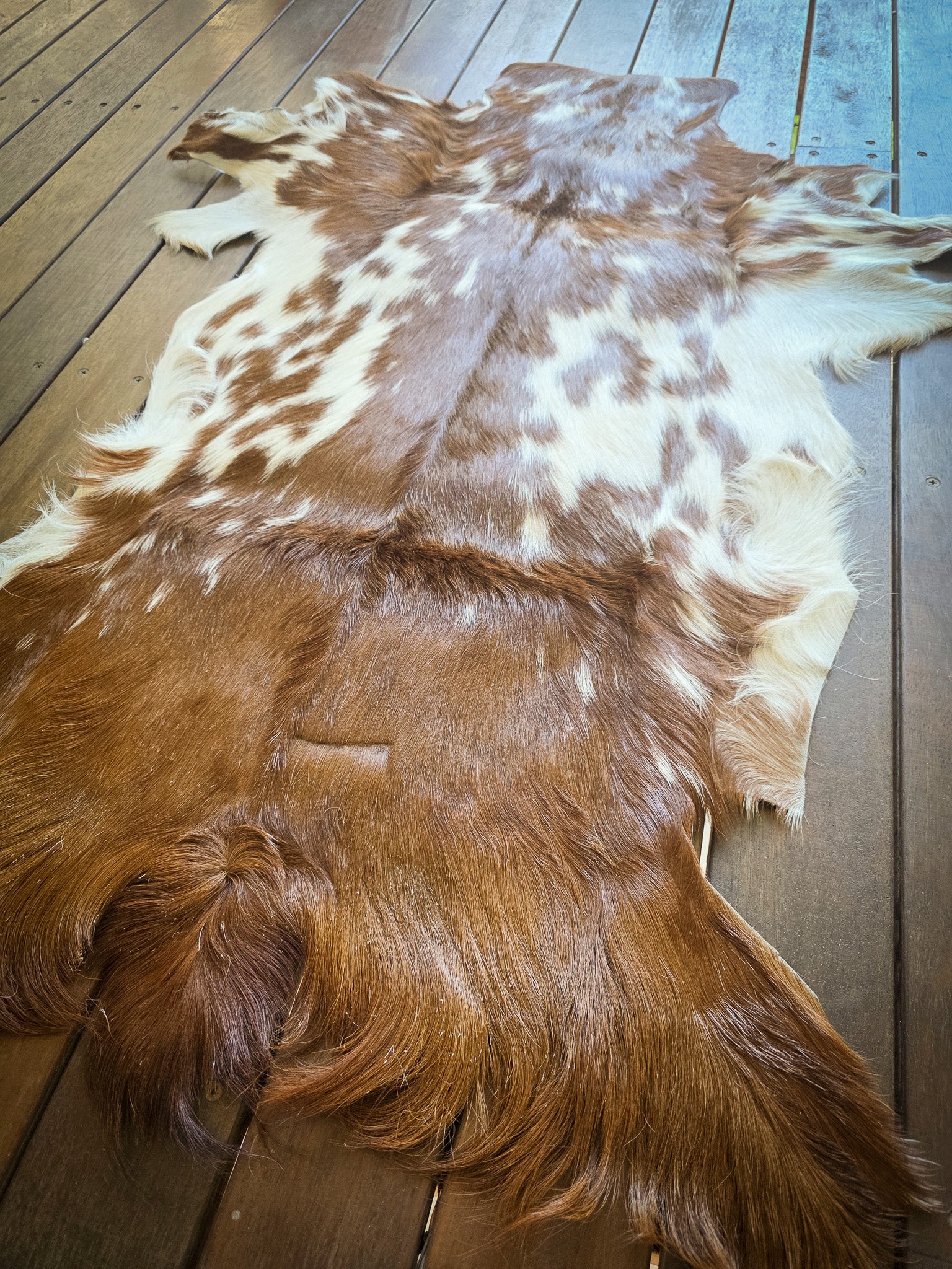 Genuine Natural Goat Hide - #16