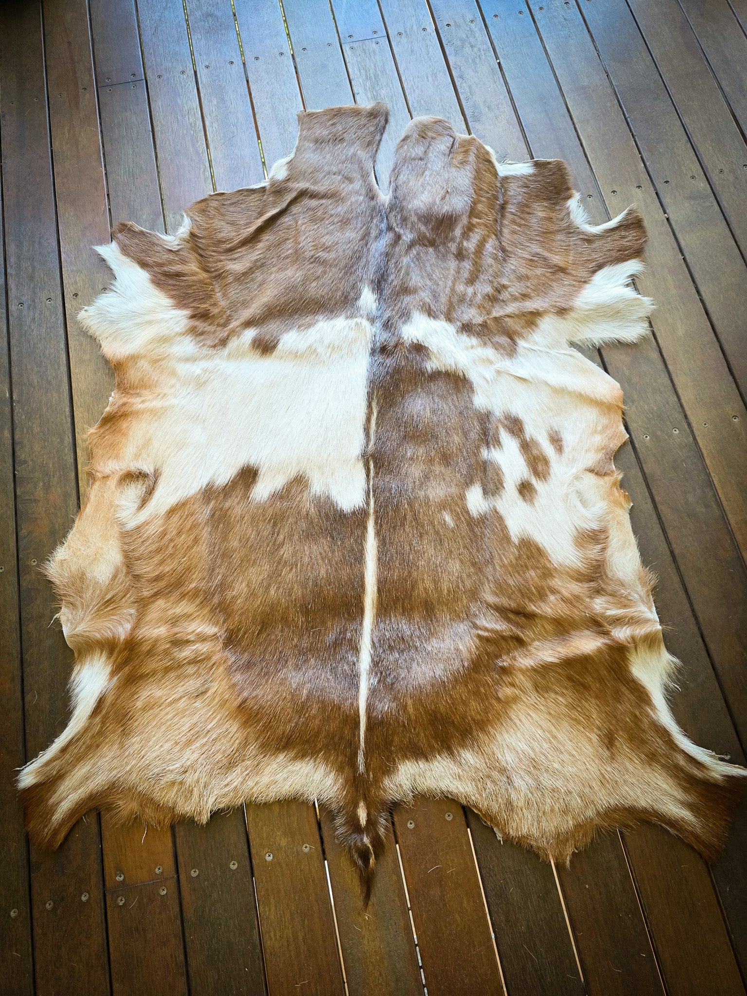 Genuine Natural Goat Hide - #22