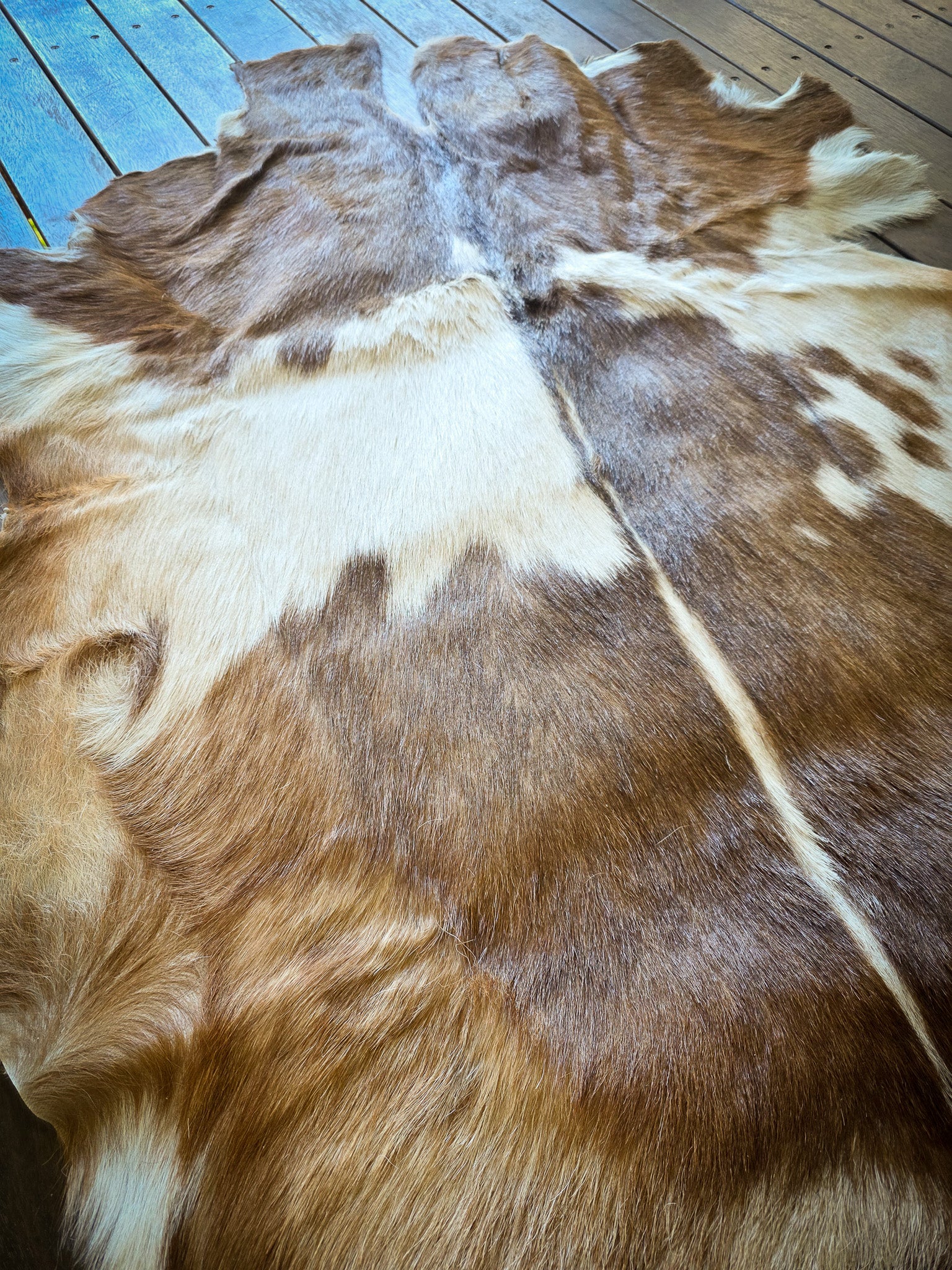 Genuine Natural Goat Hide - #22