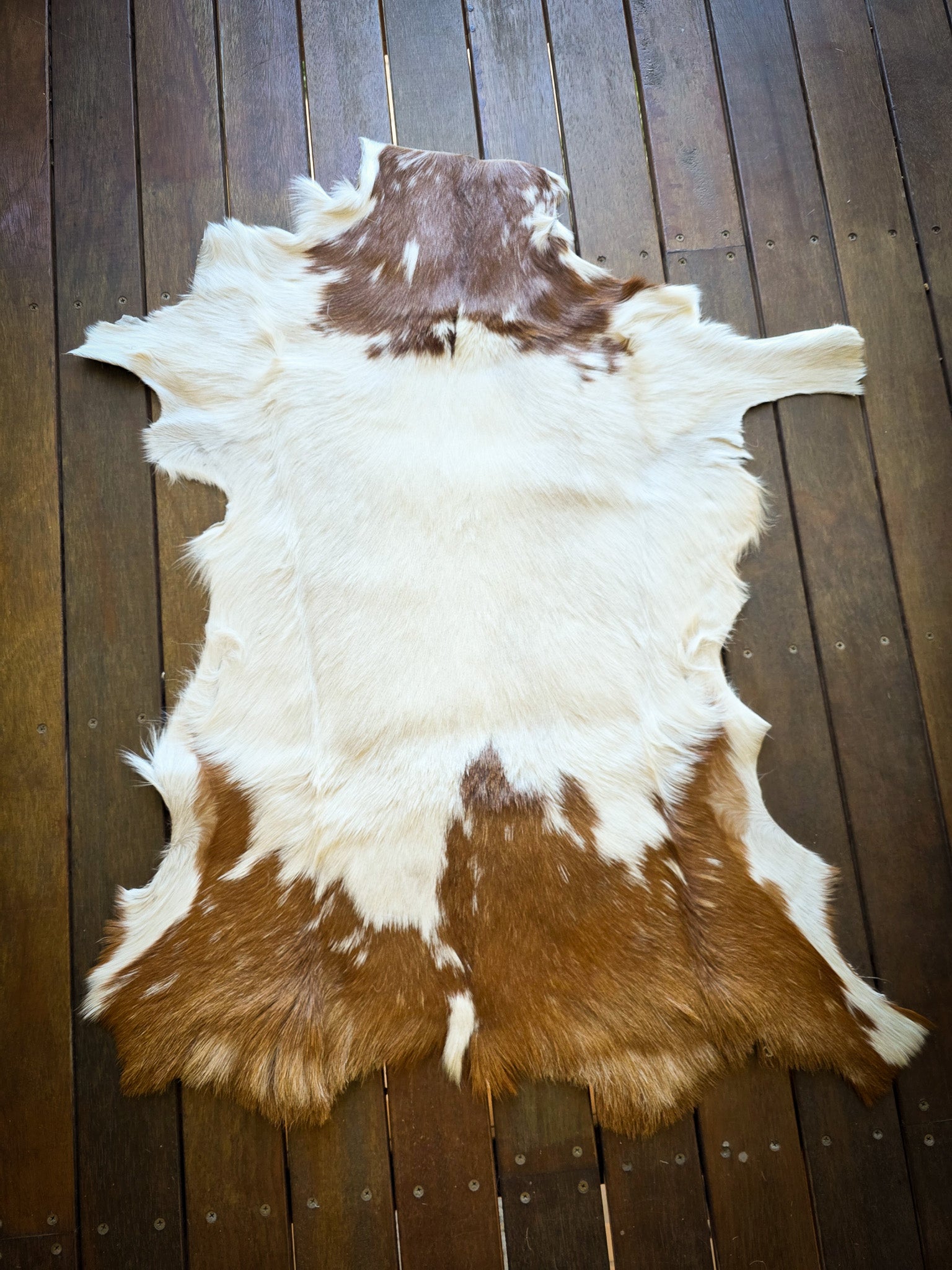 Genuine Natural Goat Hide - #23