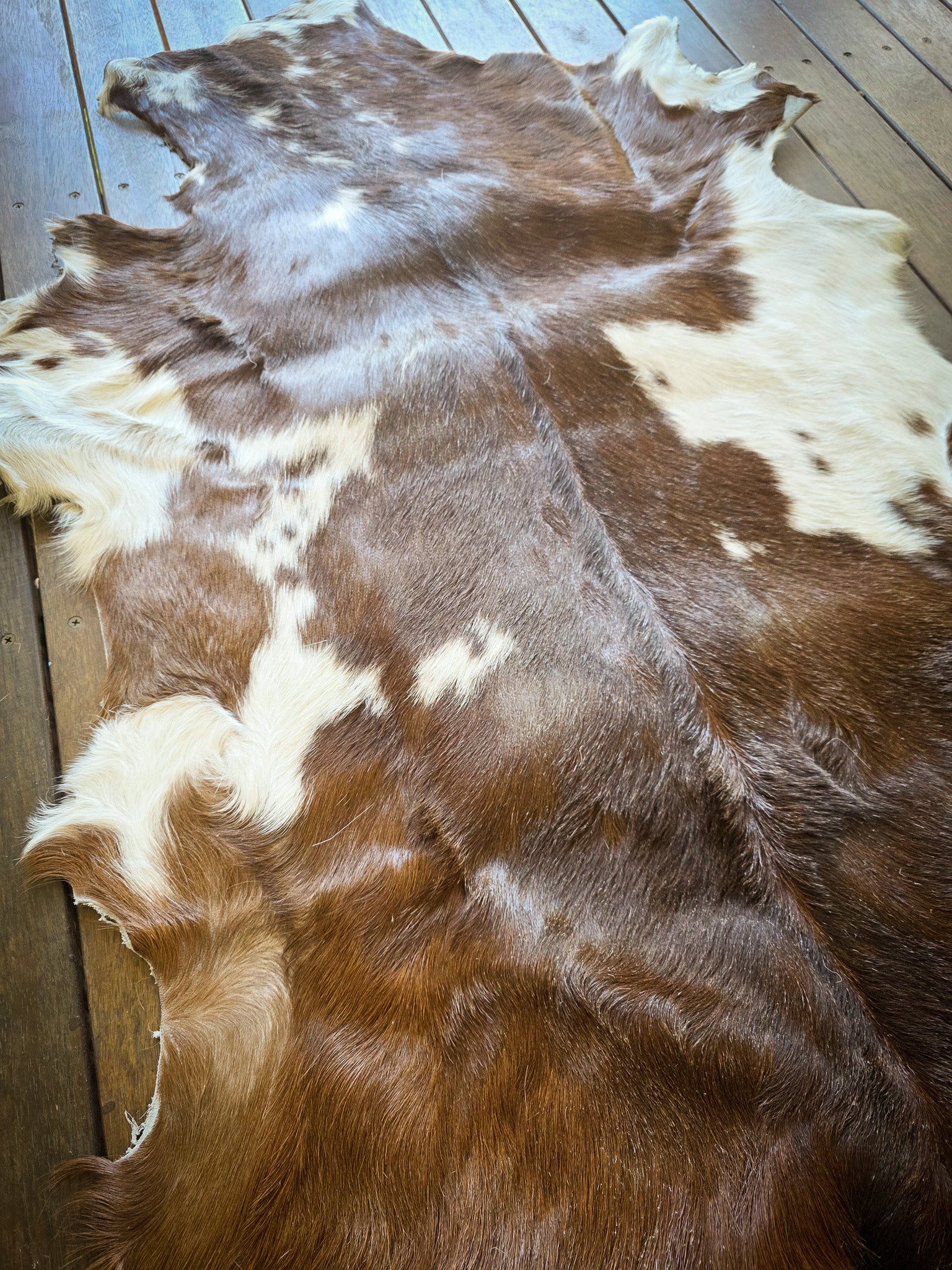 Genuine Natural Goat Hide - #24