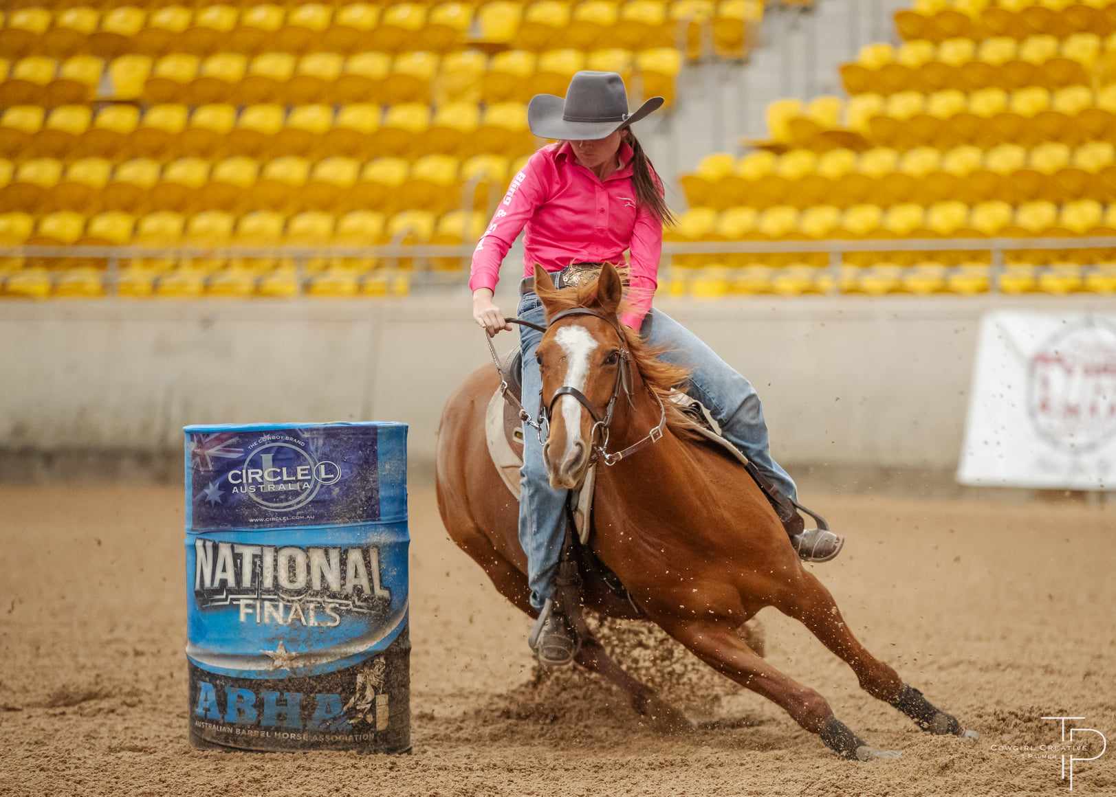 トップス BEEDEN HORSE PRINT USED LIKE TOPS Hidez-Artwork-Printed-suit-