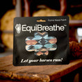 Load image into Gallery viewer, EquiBreathe™ Equine Nasal Patch - Aztec
