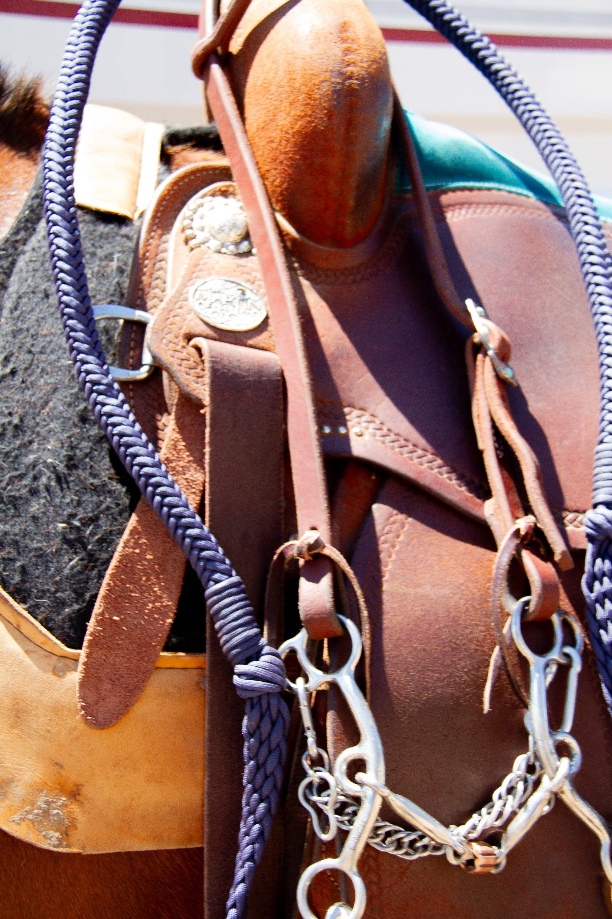 Stabiliser Reins by -3H – Balanced & Anti Flip Design various colours