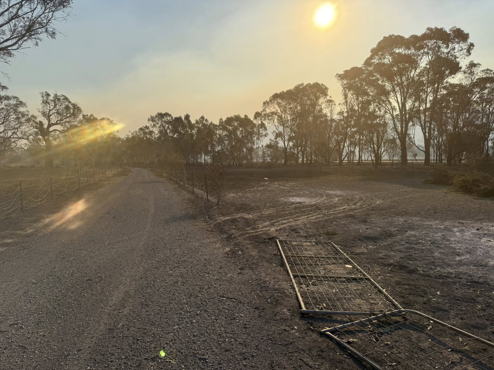 Win a $500 Bling & Speed Shopping Spree!