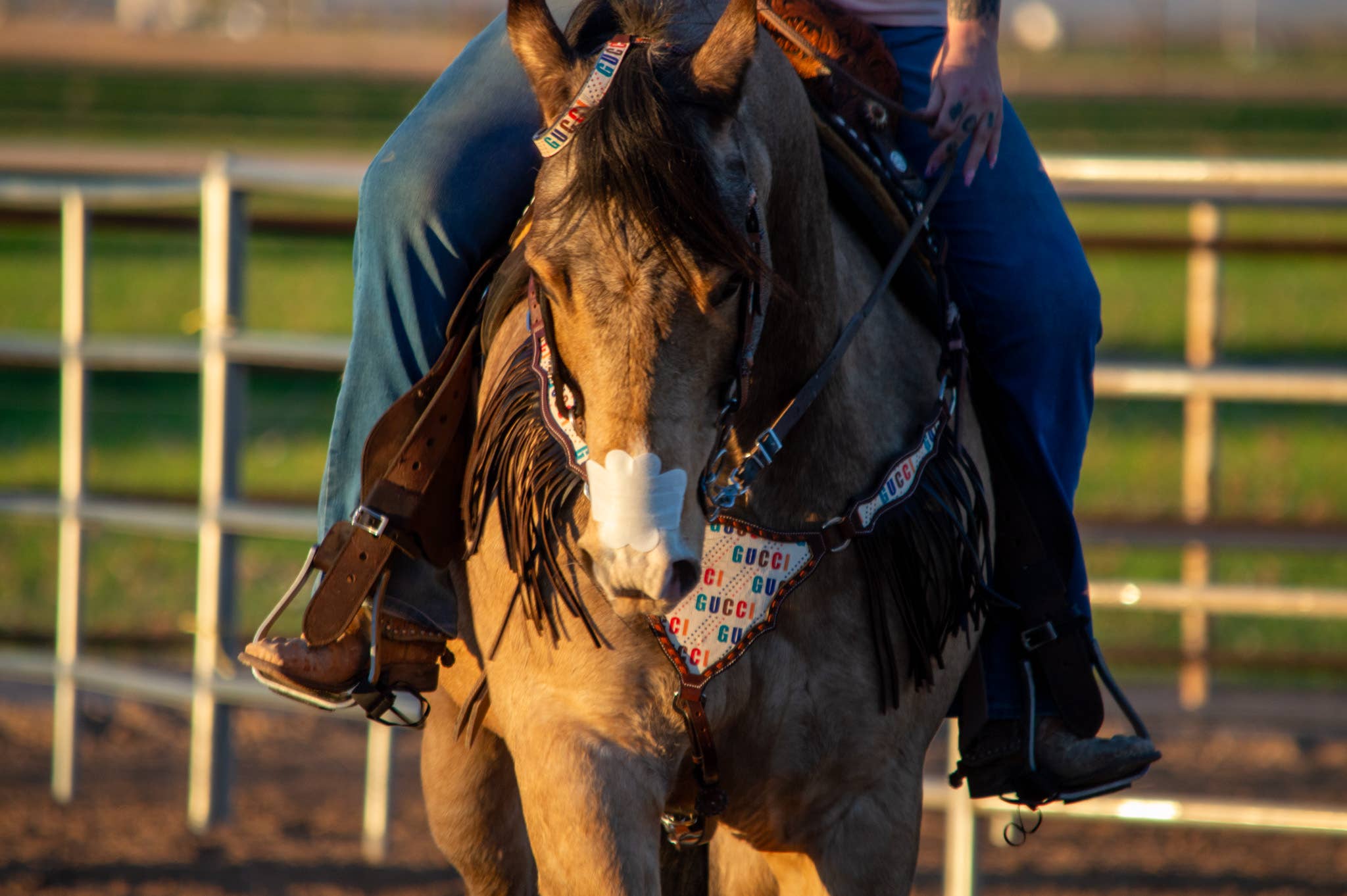 EquiBreathe™ Equine Nasal Patch - White