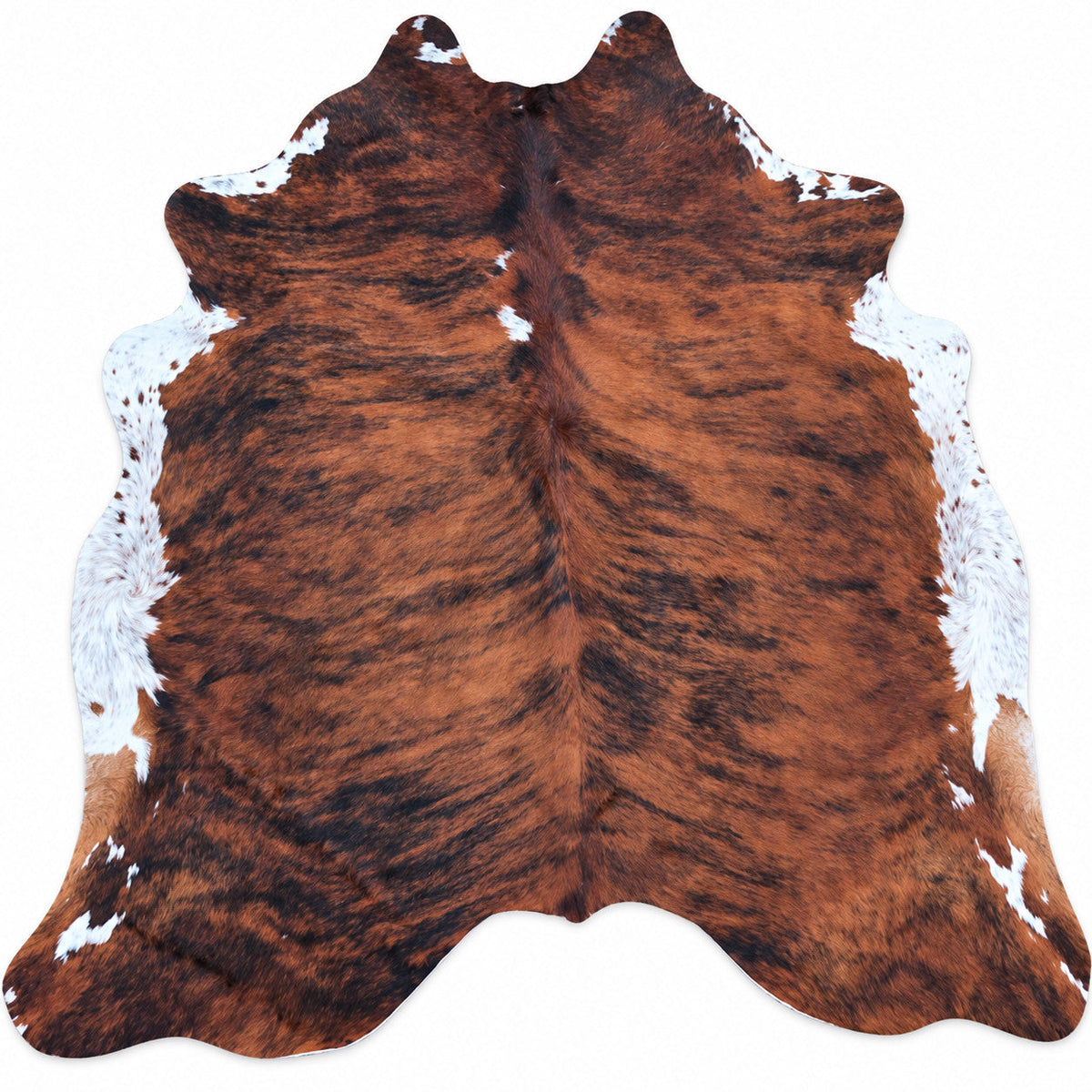 Digitally created studio image of BAS-HIDE-002; see original for exact markings