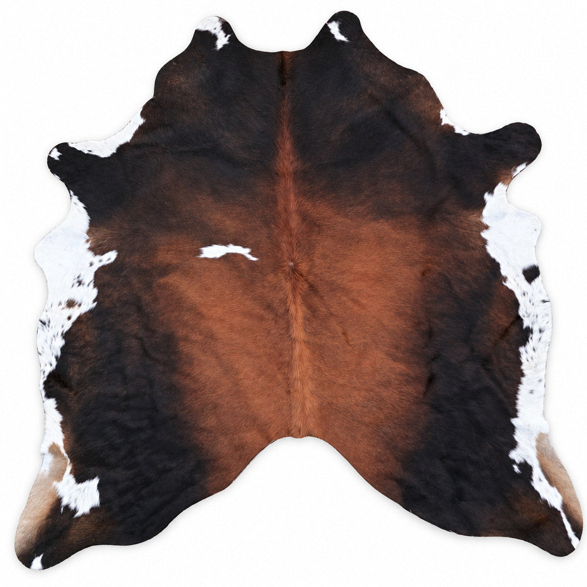 Digitally created studio image of BAS-HIDE-004; see original for exact markings
