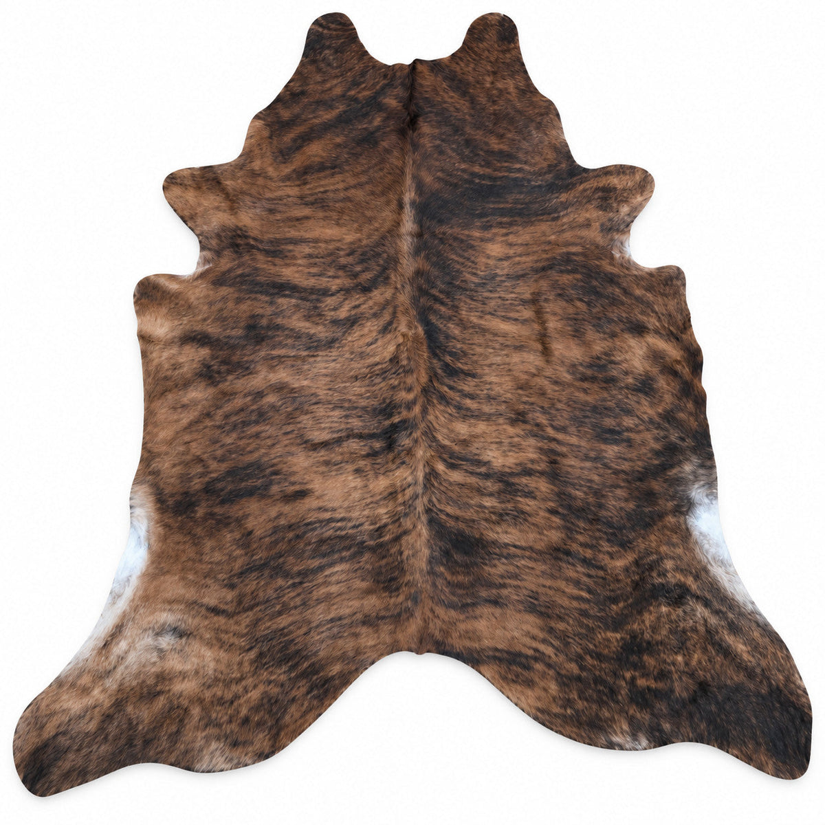 Digitally created studio image of BAS-HIDE-005; see original for exact markings