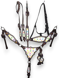 “Rainbow Luxe” Designer-Inspired Tack Set