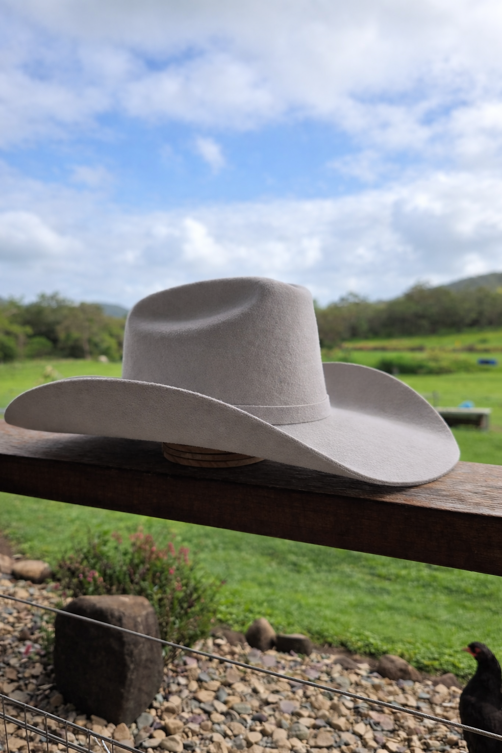 Desert Crown Felt Hat - Beige