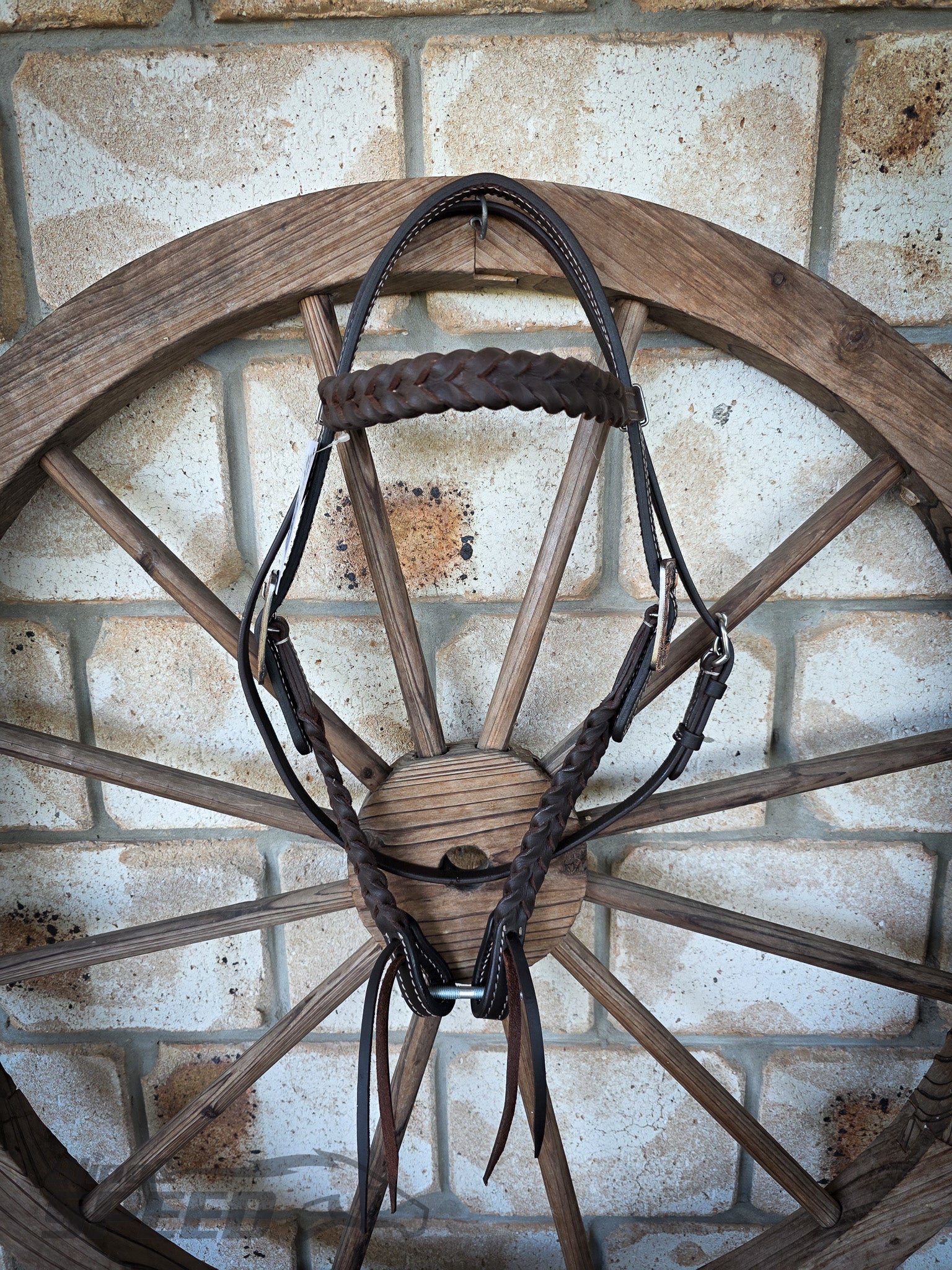 Bling & Speed Plait Bridle