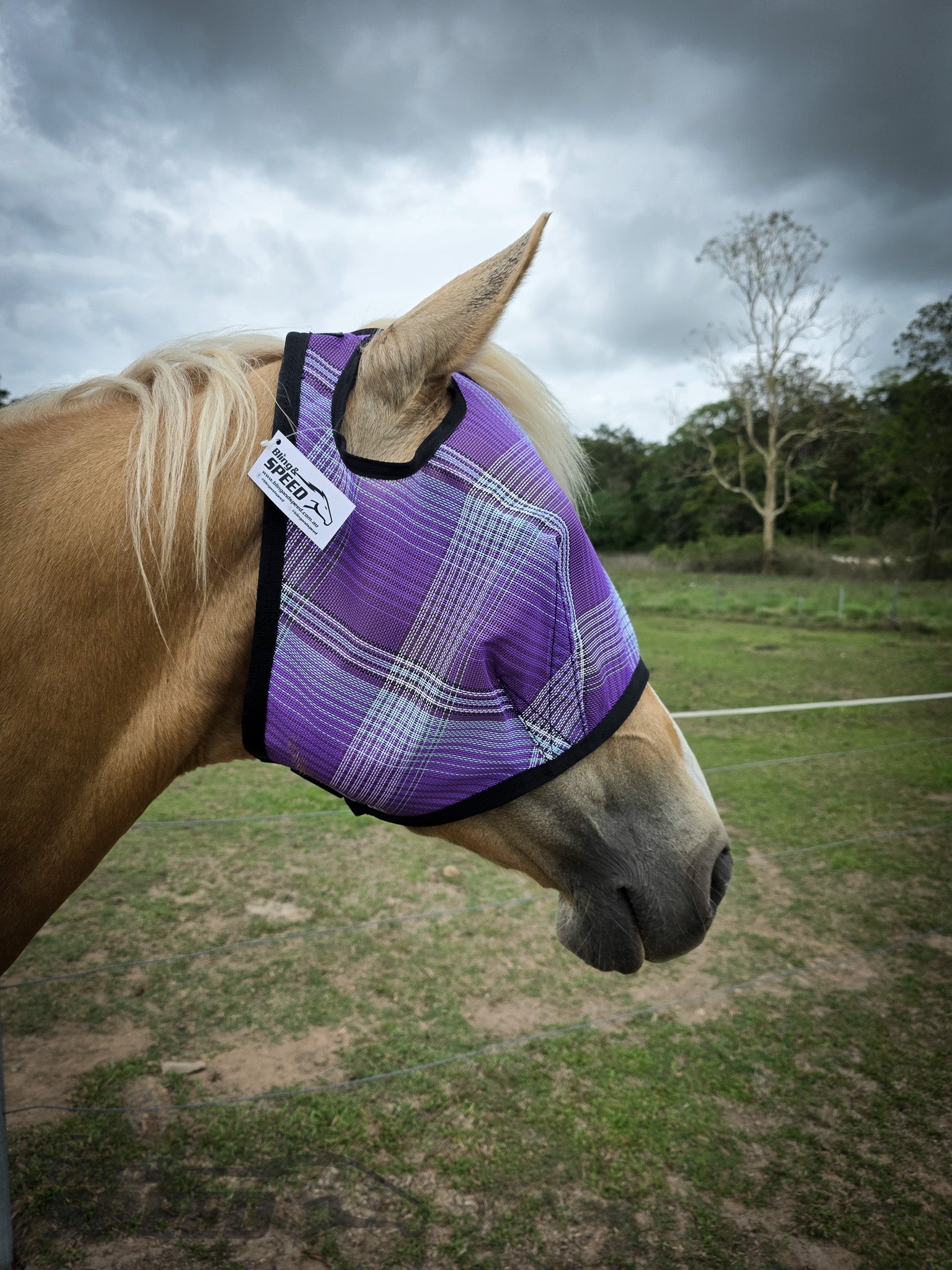 Bling & Speed “Forelock Freedom” Fly Mask