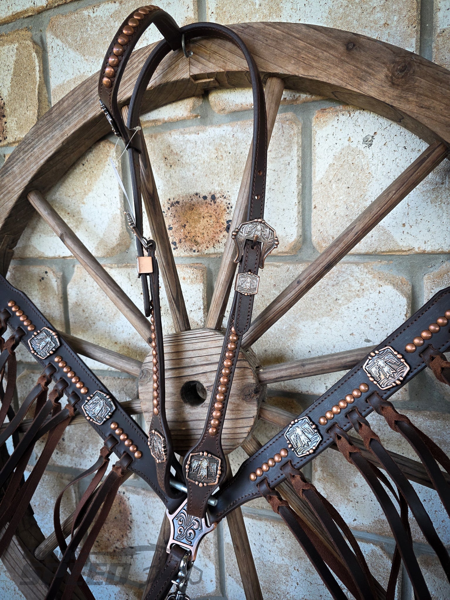 Thunderbird Fringe Tack Set - Silver Glitter