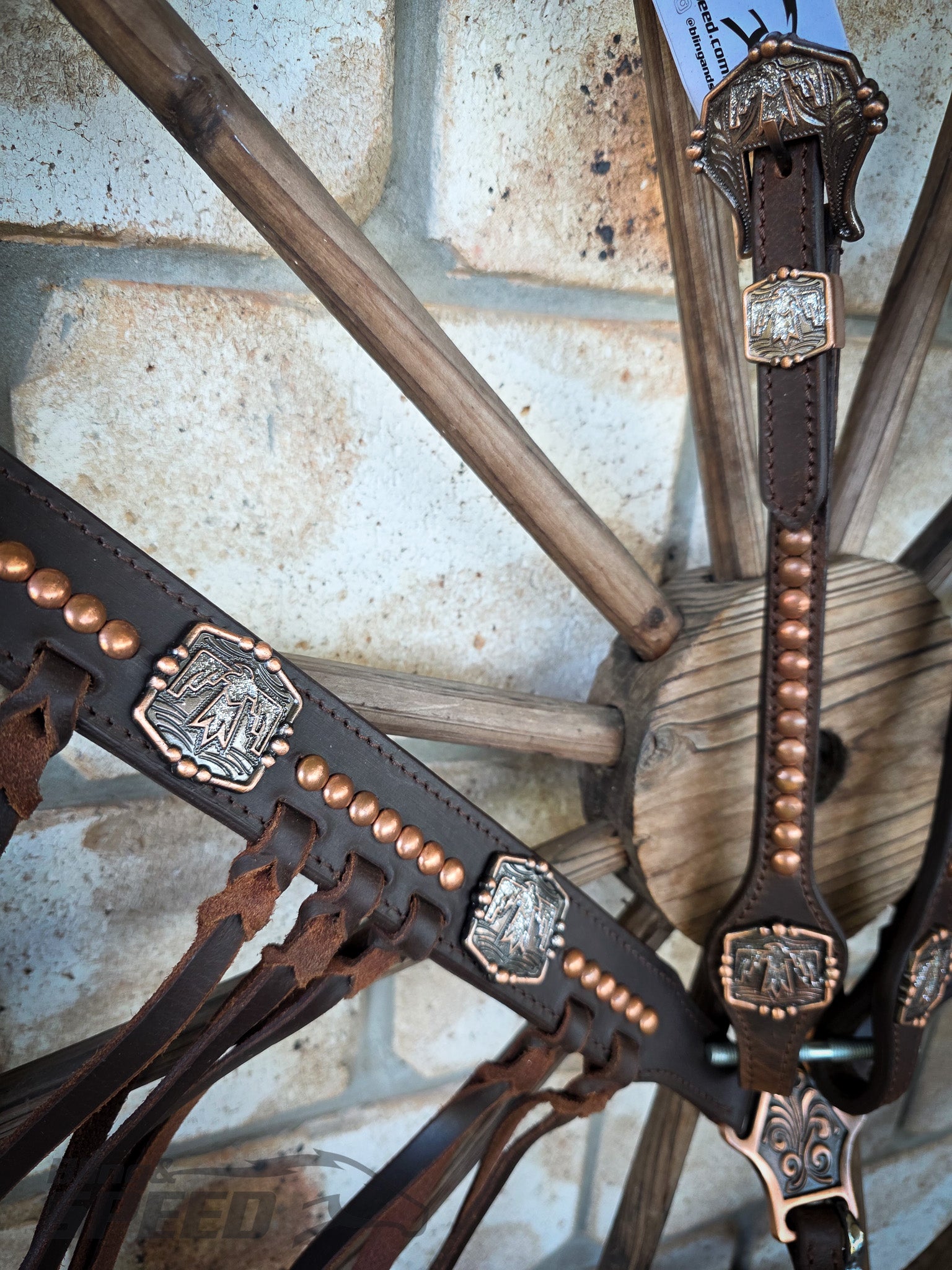 Thunderbird Fringe Tack Set - Silver Glitter
